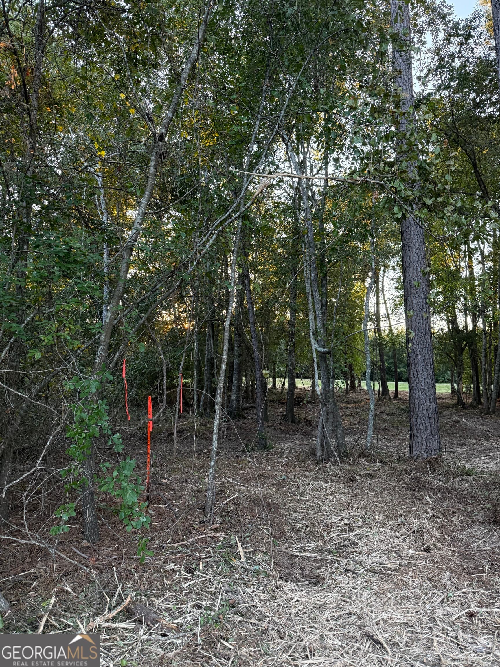 residential lot for sale at 0 Friendship Road, Sylvania, GA 30467 — photo 6