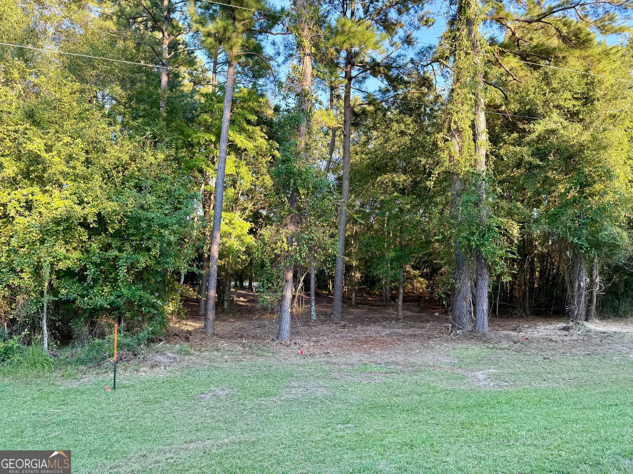 residential lot for sale at 0 Friendship Road, Sylvania, GA 30467 — photo 3