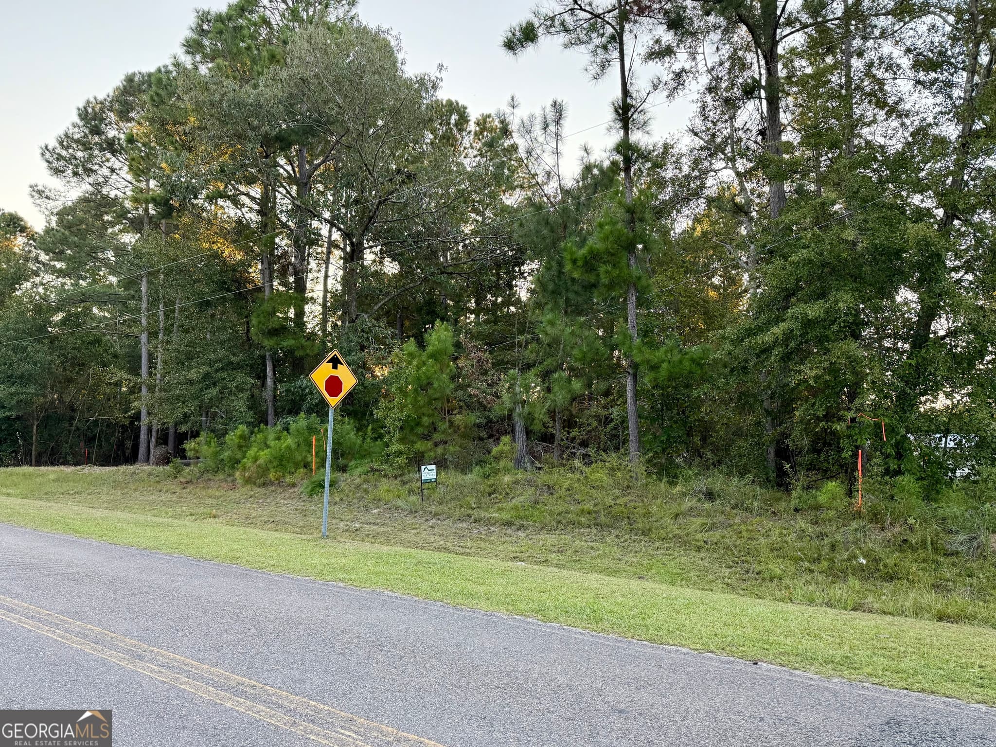 residential lot for sale at 0 Friendship Road, Sylvania, GA 30467 — photo 5