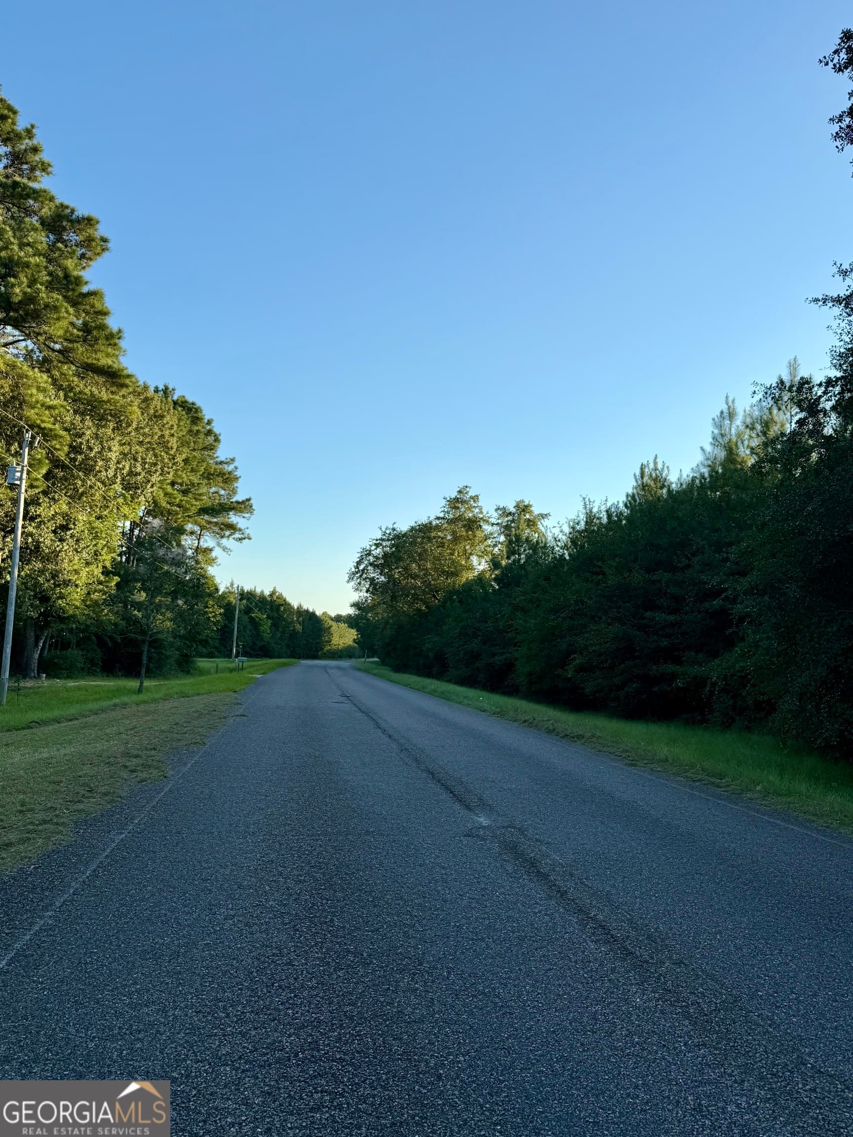 residential lot for sale at 0 Friendship Road, Sylvania, GA 30467 — photo 4