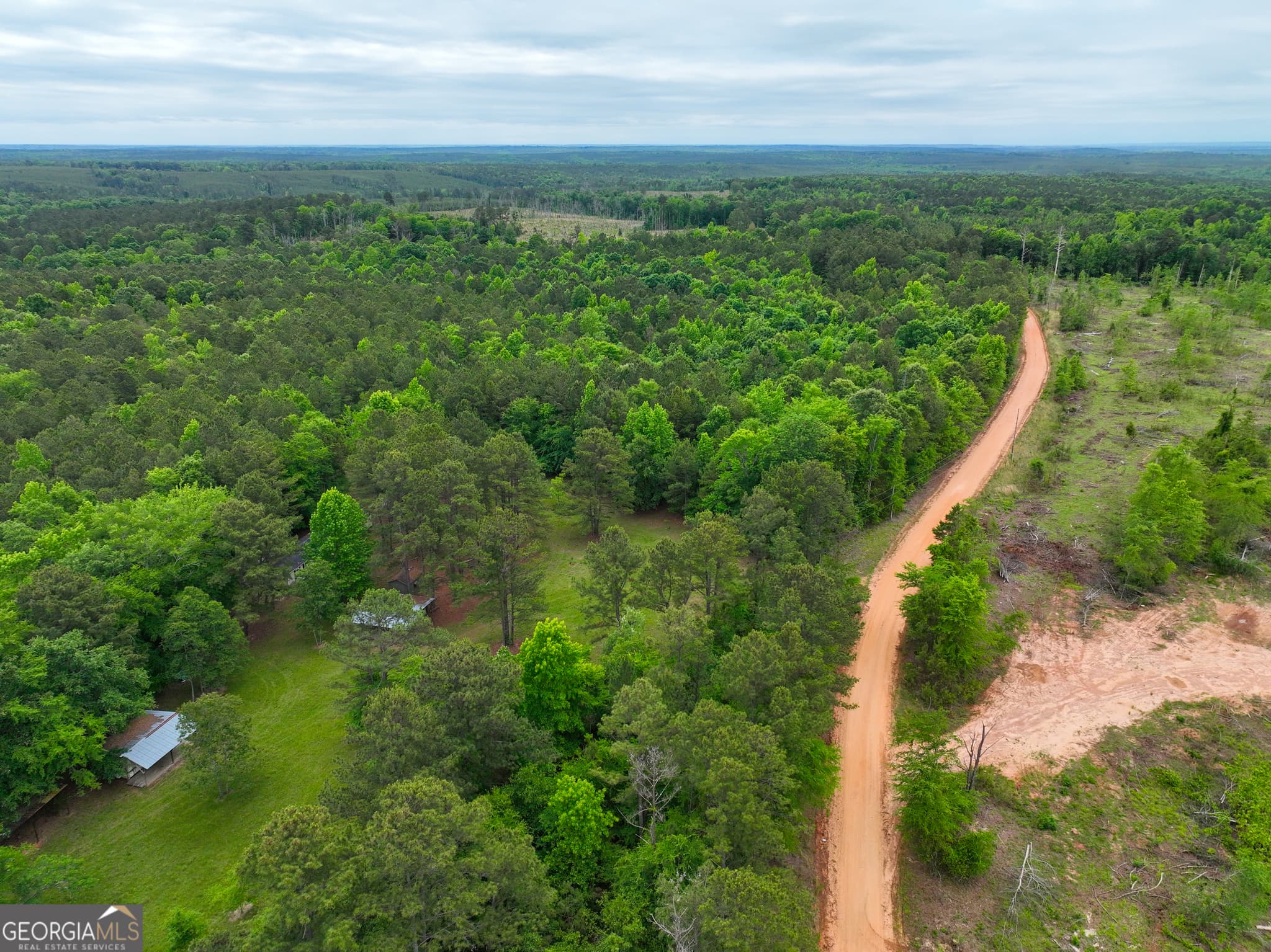 agriculture for sale at 1099 Dixon Road, Milledgeville, GA 31061 — photo 2