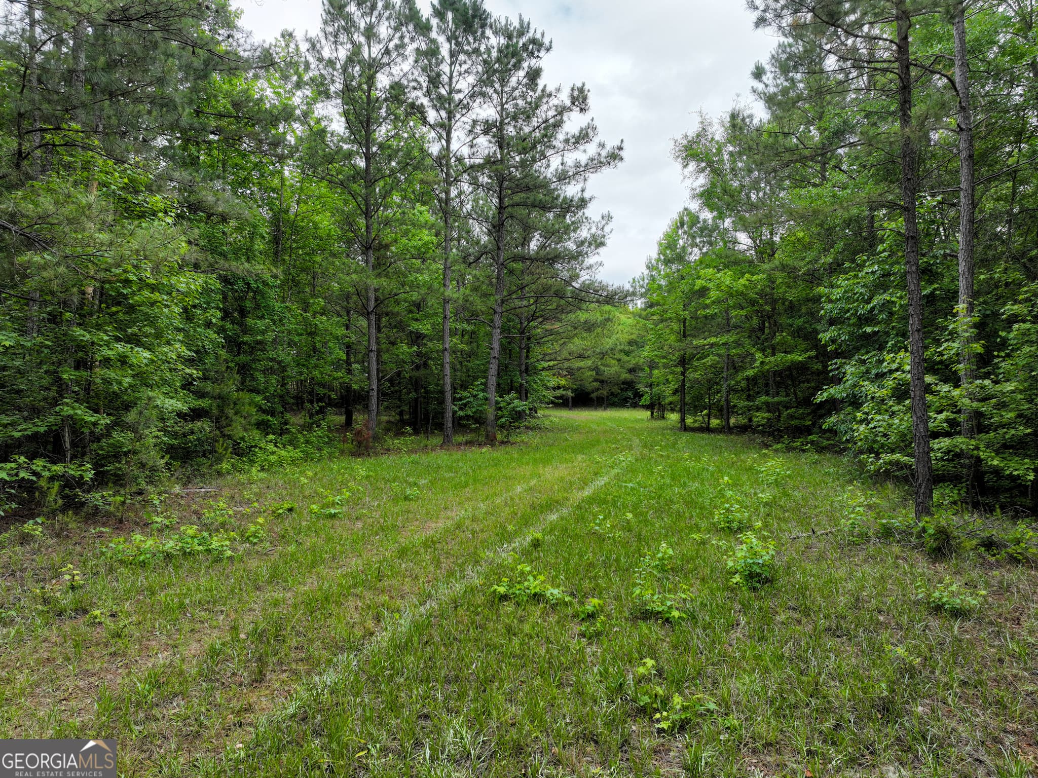 agriculture for sale at 1099 Dixon Road, Milledgeville, GA 31061 — photo 6