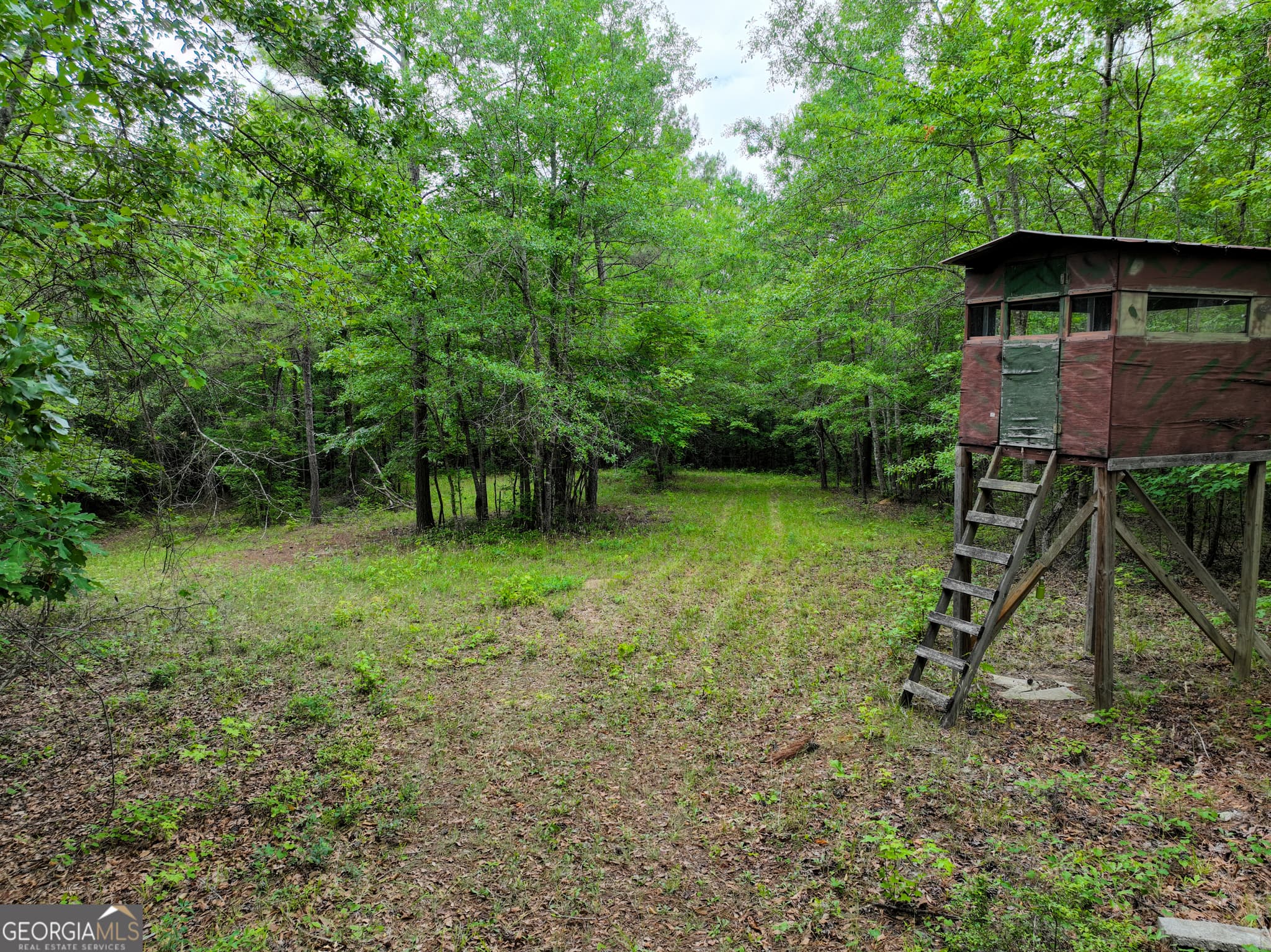 agriculture for sale at 1099 Dixon Road, Milledgeville, GA 31061 — photo 7