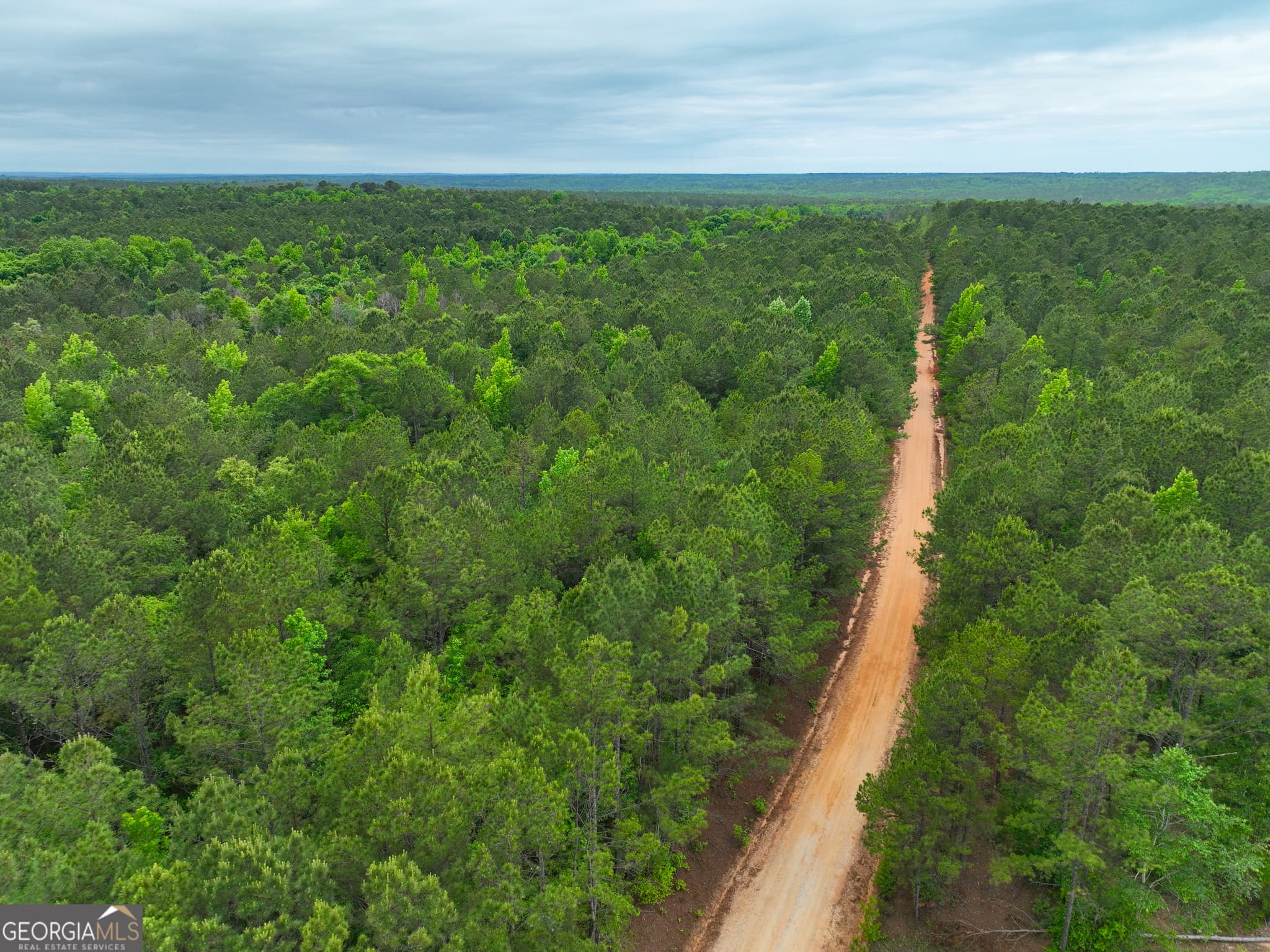 agriculture for sale at 1099 Dixon Road, Milledgeville, GA 31061 — photo 3