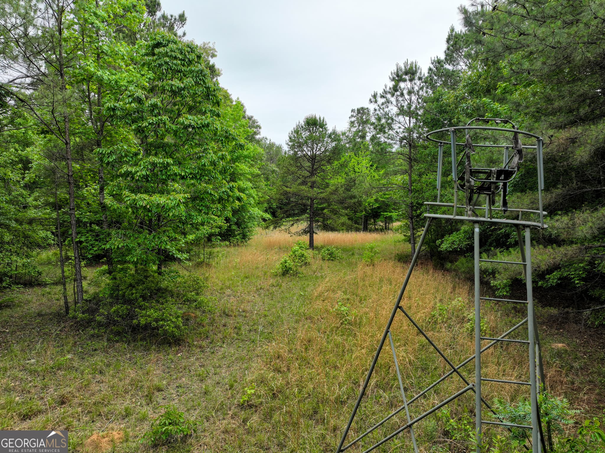 agriculture for sale at 1099 Dixon Road, Milledgeville, GA 31061 — photo 5