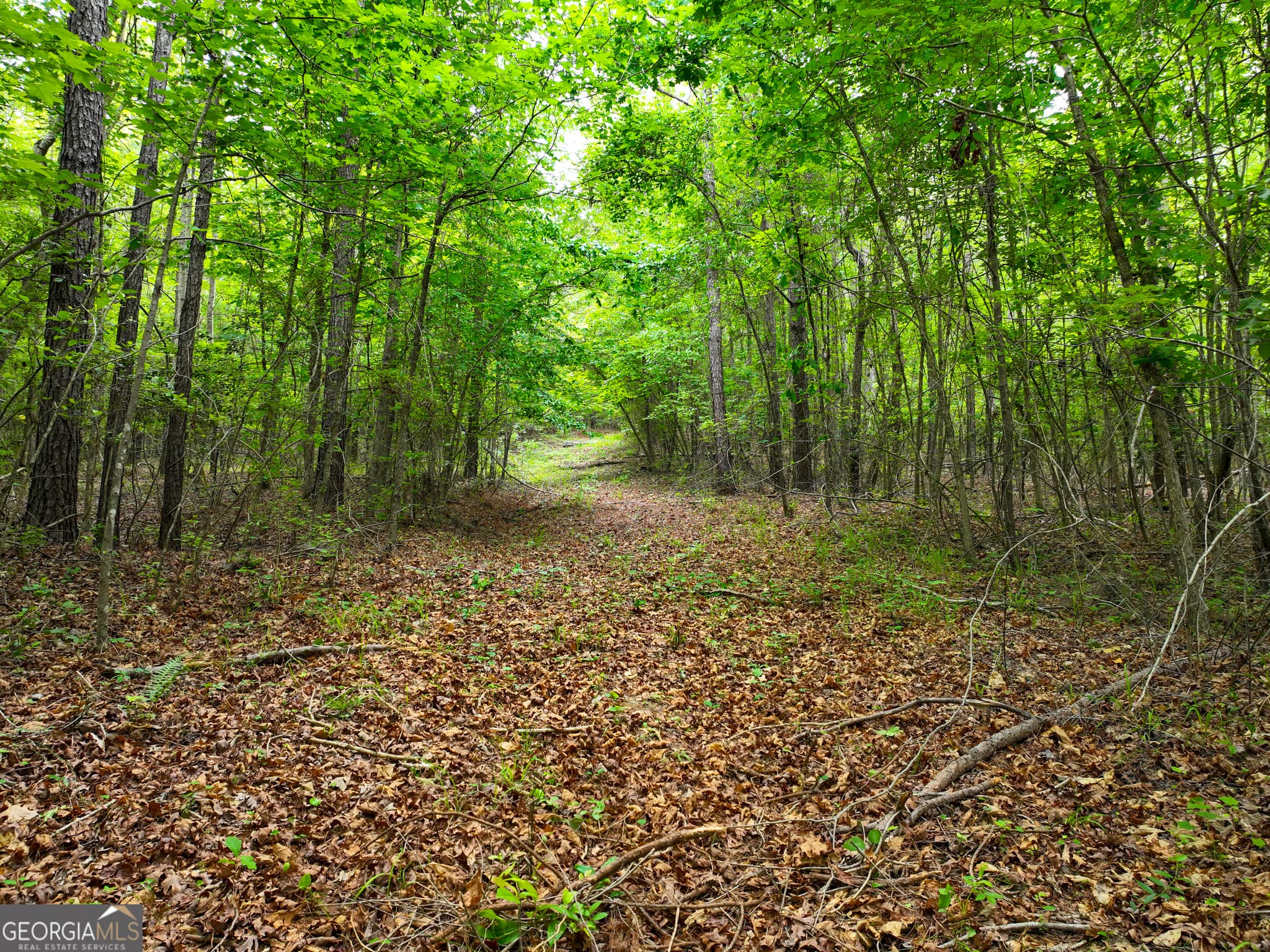 agriculture for sale at 1099 Dixon Road, Milledgeville, GA 31061 — photo 9