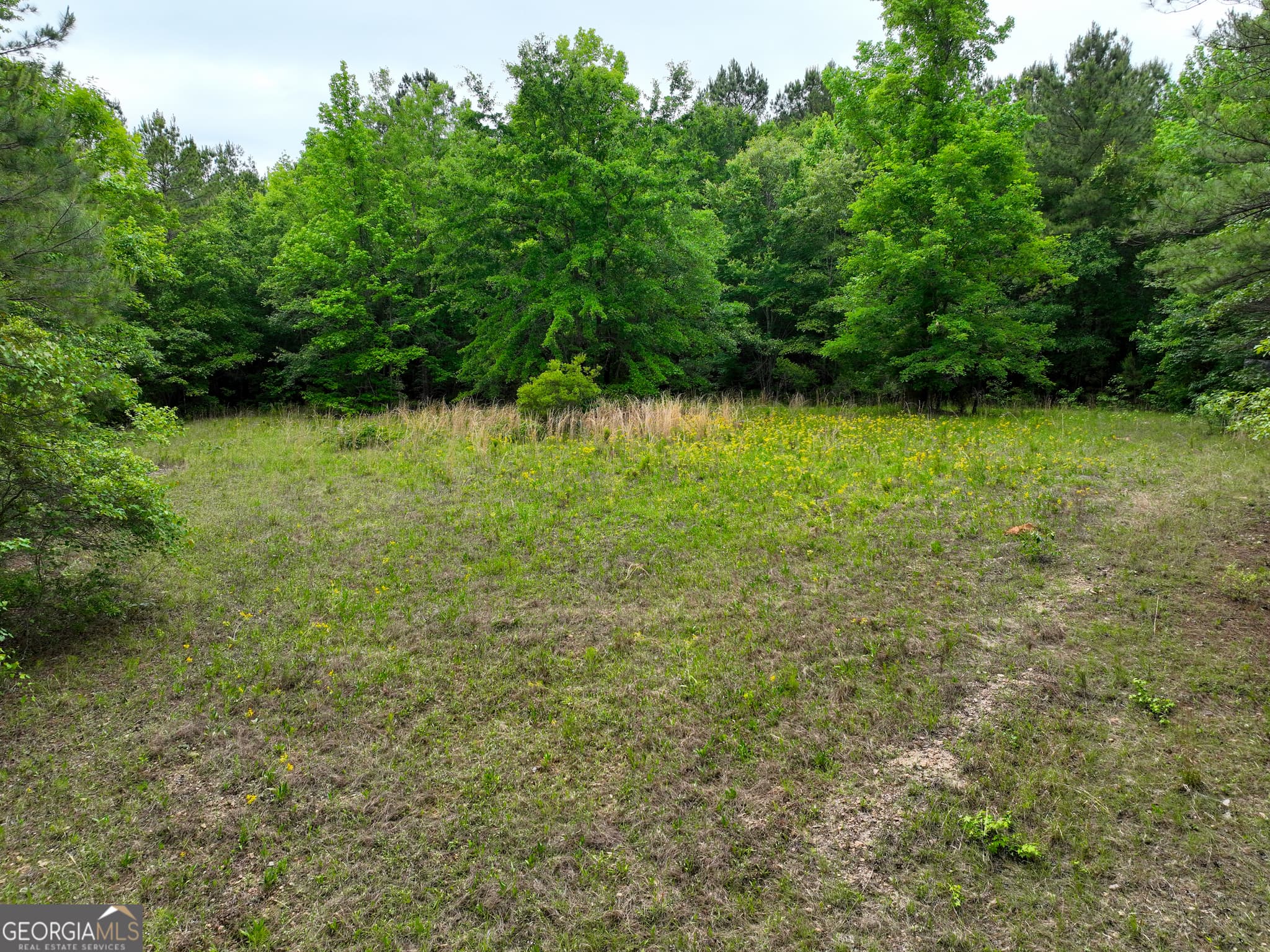 agriculture for sale at 1099 Dixon Road, Milledgeville, GA 31061 — photo 10