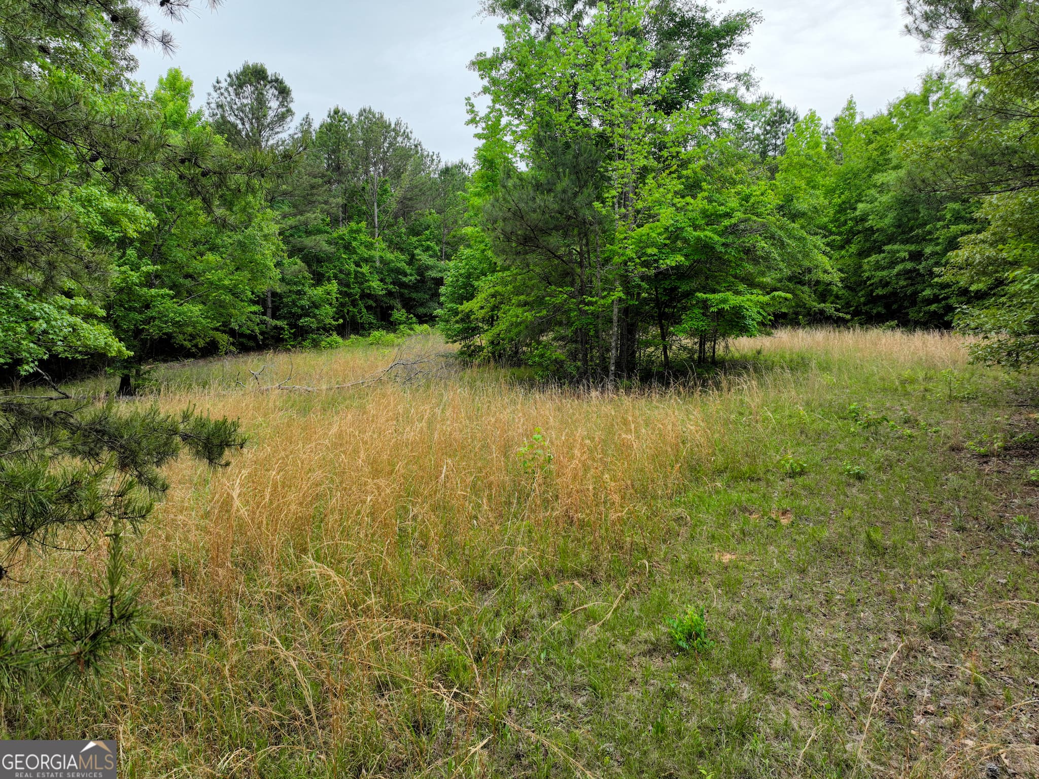 agriculture for sale at 1099 Dixon Road, Milledgeville, GA 31061 — photo 4