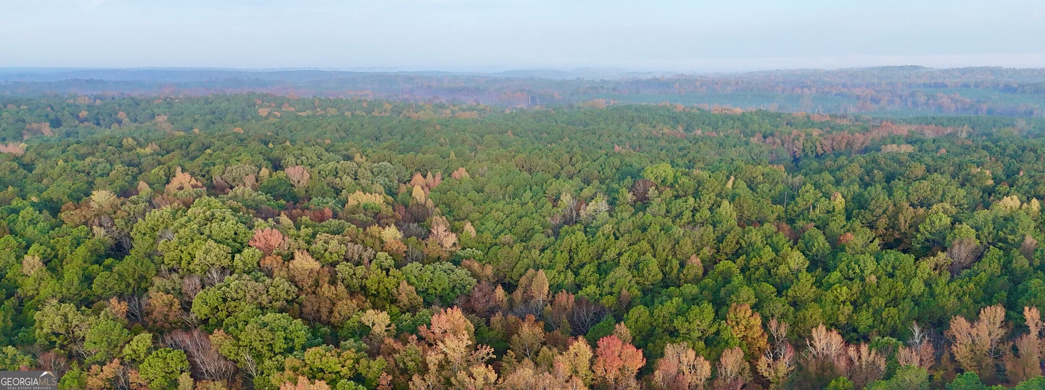 agriculture for sale at TRACT 2 Dennis Creek Road, Talbotton, GA 31827 — photo 6