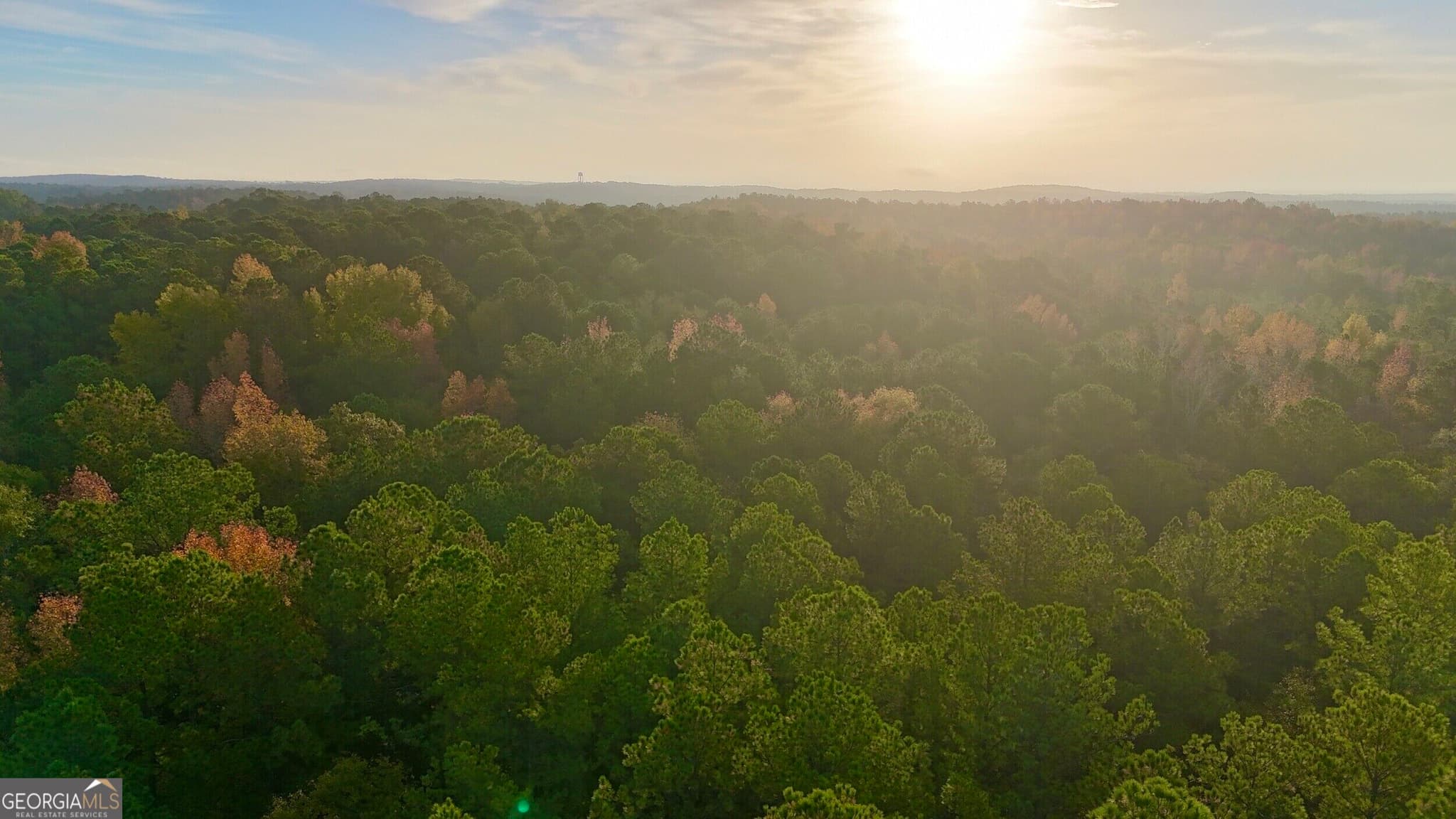 agriculture for sale at TRACT 2 Dennis Creek Road, Talbotton, GA 31827 — photo 1 of 61