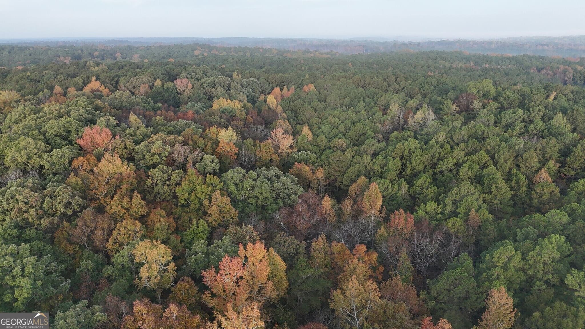 agriculture for sale at TRACT 2 Dennis Creek Road, Talbotton, GA 31827 — photo 10