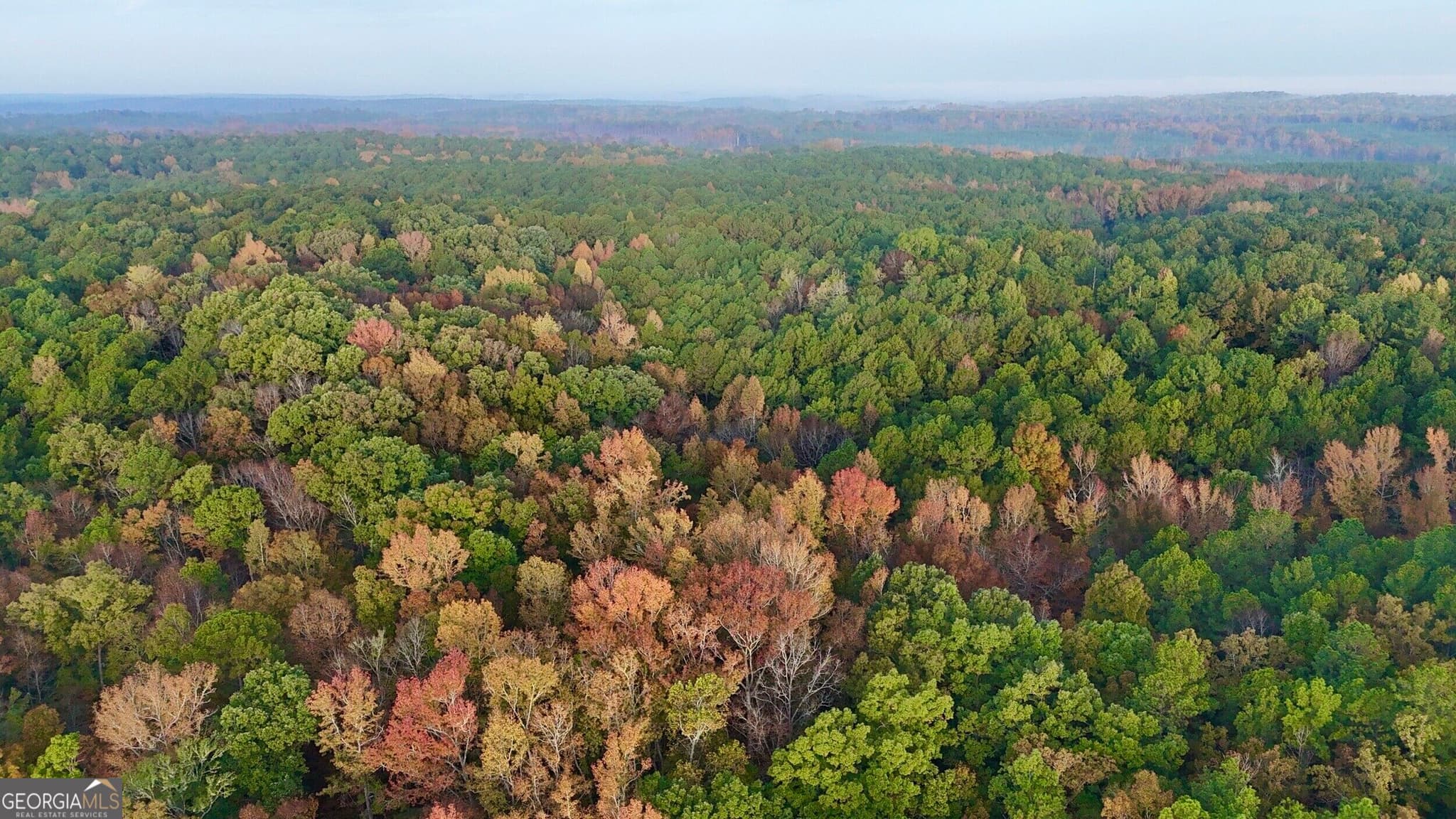 agriculture for sale at TRACT 2 Dennis Creek Road, Talbotton, GA 31827 — photo 8