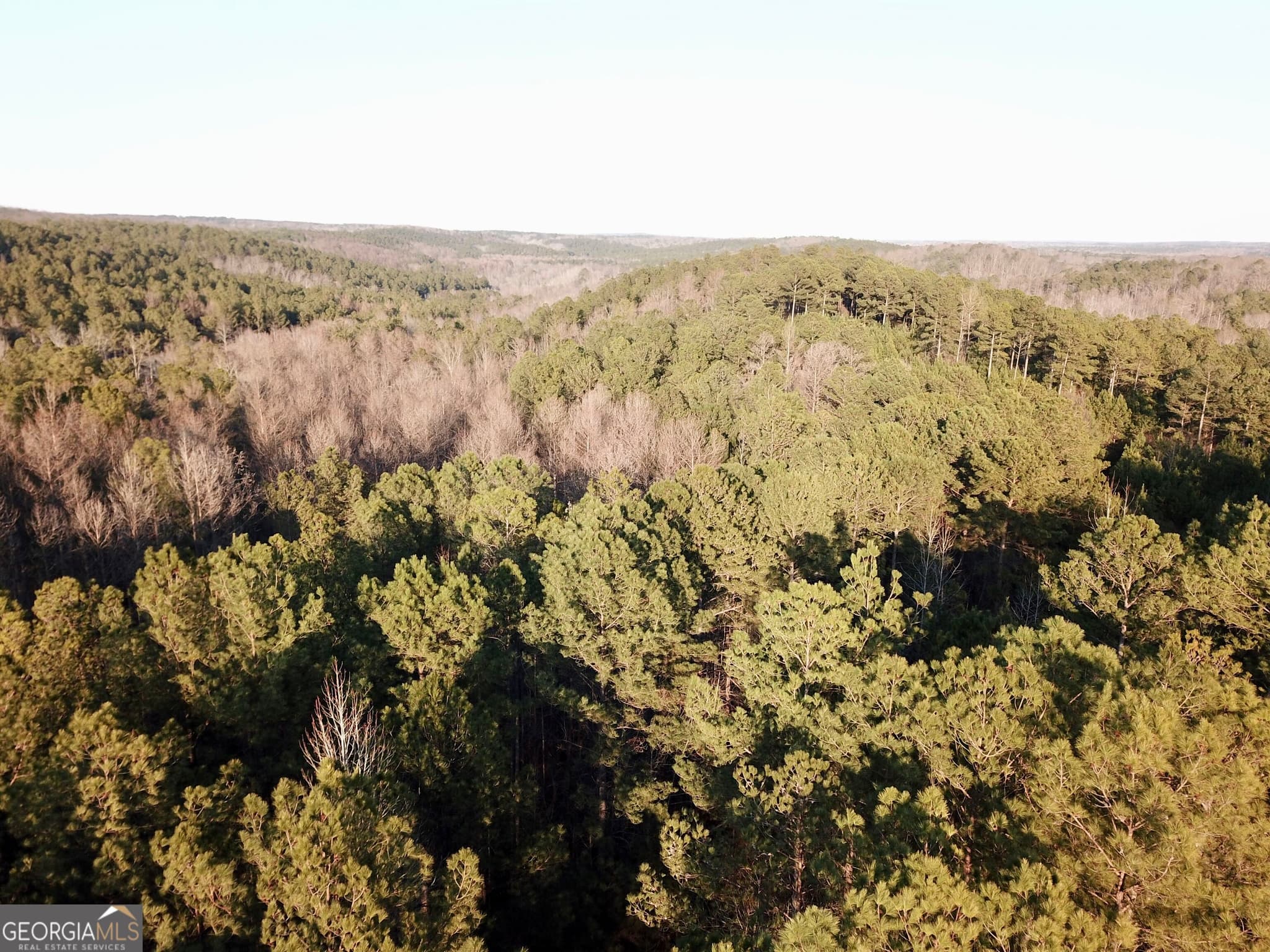 unimproved land for sale at 0 - TRACT 2 Mt Zion Church Road, Whitesburg, GA 30185 — photo 6