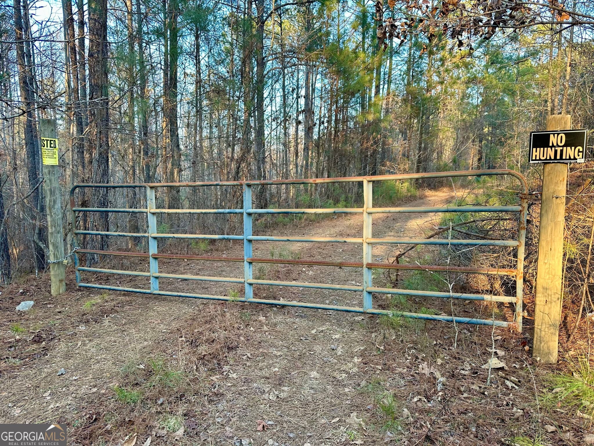 unimproved land for sale at 0 - TRACT 2 Mt Zion Church Road, Whitesburg, GA 30185 — photo 7
