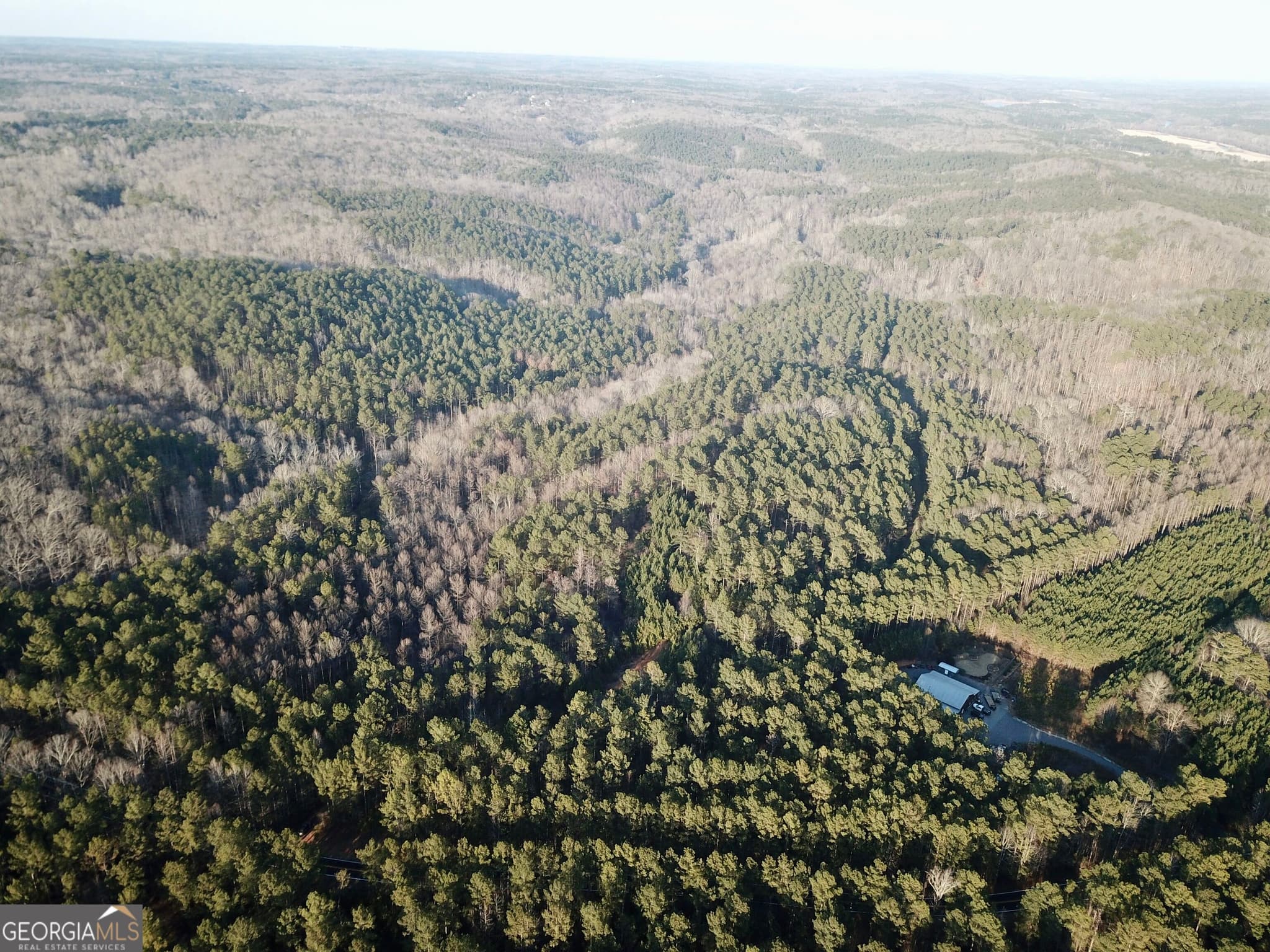 unimproved land for sale at 0 - TRACT 2 Mt Zion Church Road, Whitesburg, GA 30185 — photo 3