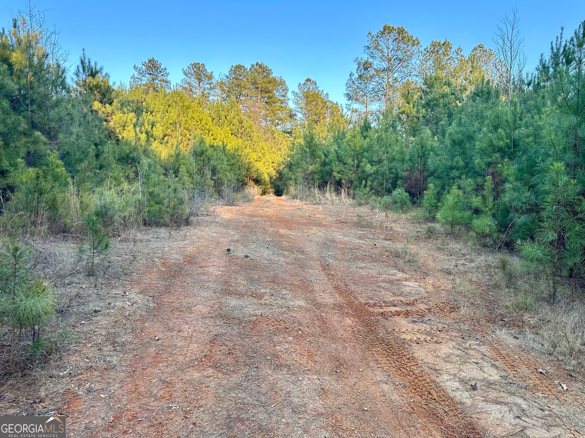 unimproved land for sale at 0 - TRACT 2 Mt Zion Church Road, Whitesburg, GA 30185 — photo 9