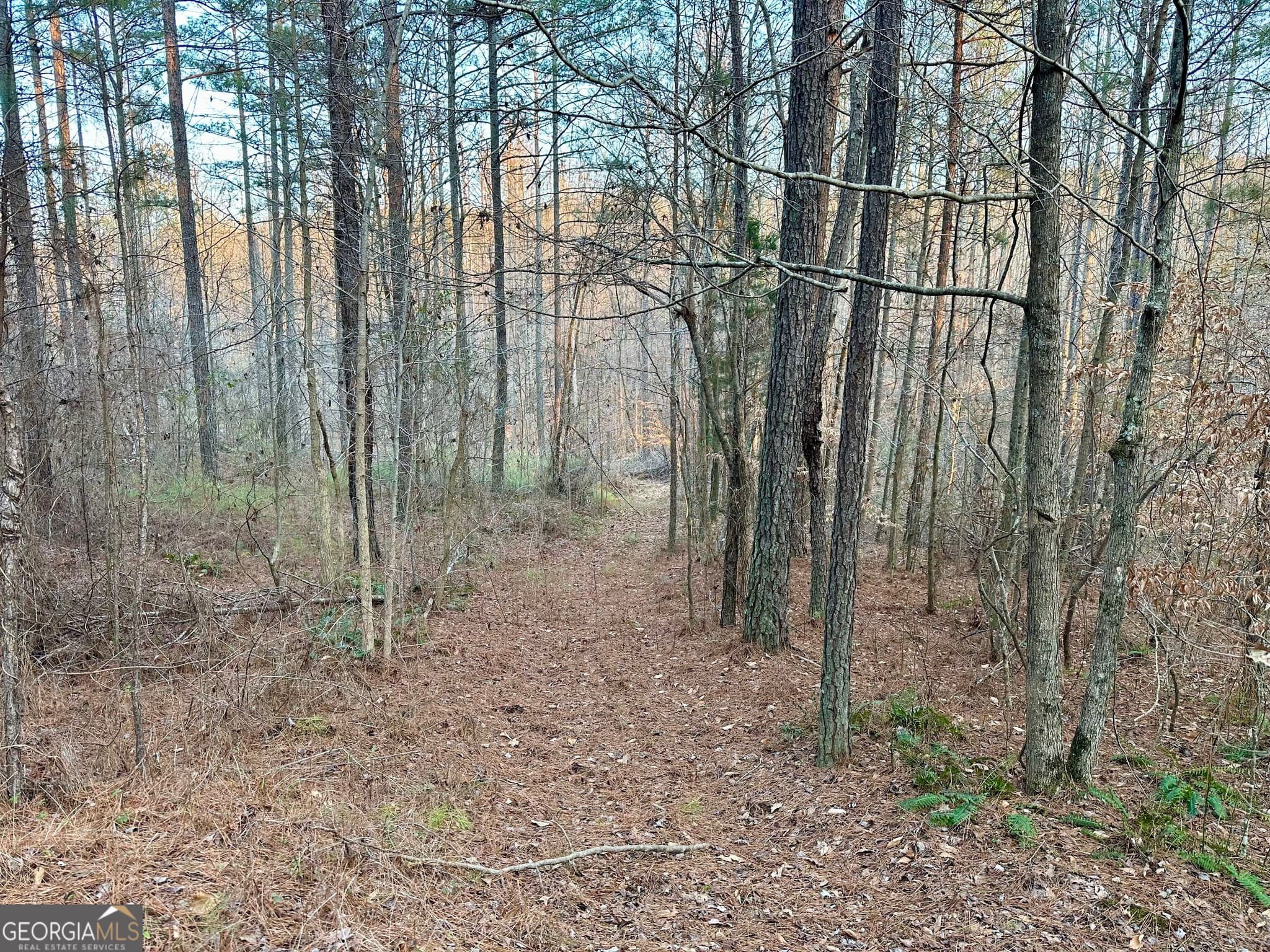 unimproved land for sale at 0 - TRACT 2 Mt Zion Church Road, Whitesburg, GA 30185 — photo 10