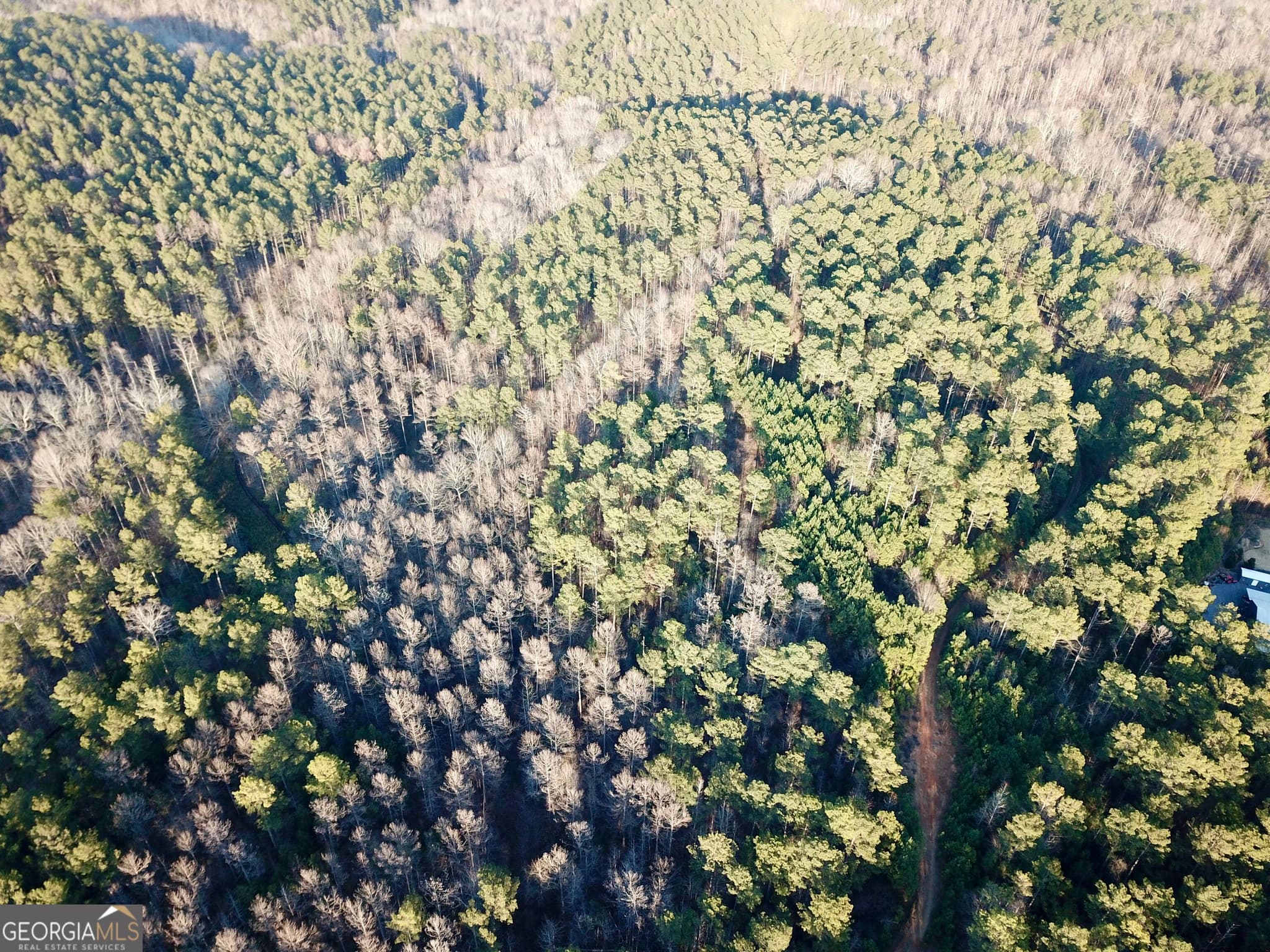 unimproved land for sale at 0 - TRACT 2 Mt Zion Church Road, Whitesburg, GA 30185 — photo 4