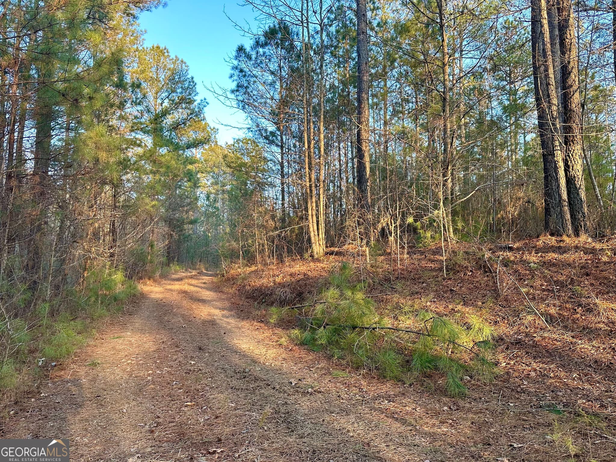 unimproved land for sale at 0 - TRACT 2 Mt Zion Church Road, Whitesburg, GA 30185 — photo 8