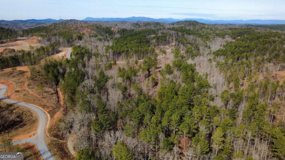 unimproved land for sale at LOT 108 Blalock Mountain Road, Talking Rock, GA 30175 — photo 2