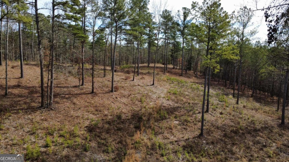 unimproved land for sale at LOT 108 Blalock Mountain Road, Talking Rock, GA 30175 — photo 6