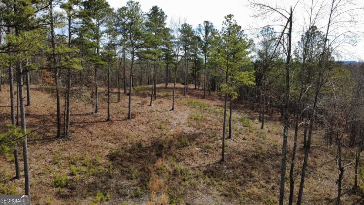unimproved land for sale at LOT 108 Blalock Mountain Road, Talking Rock, GA 30175 — photo 7