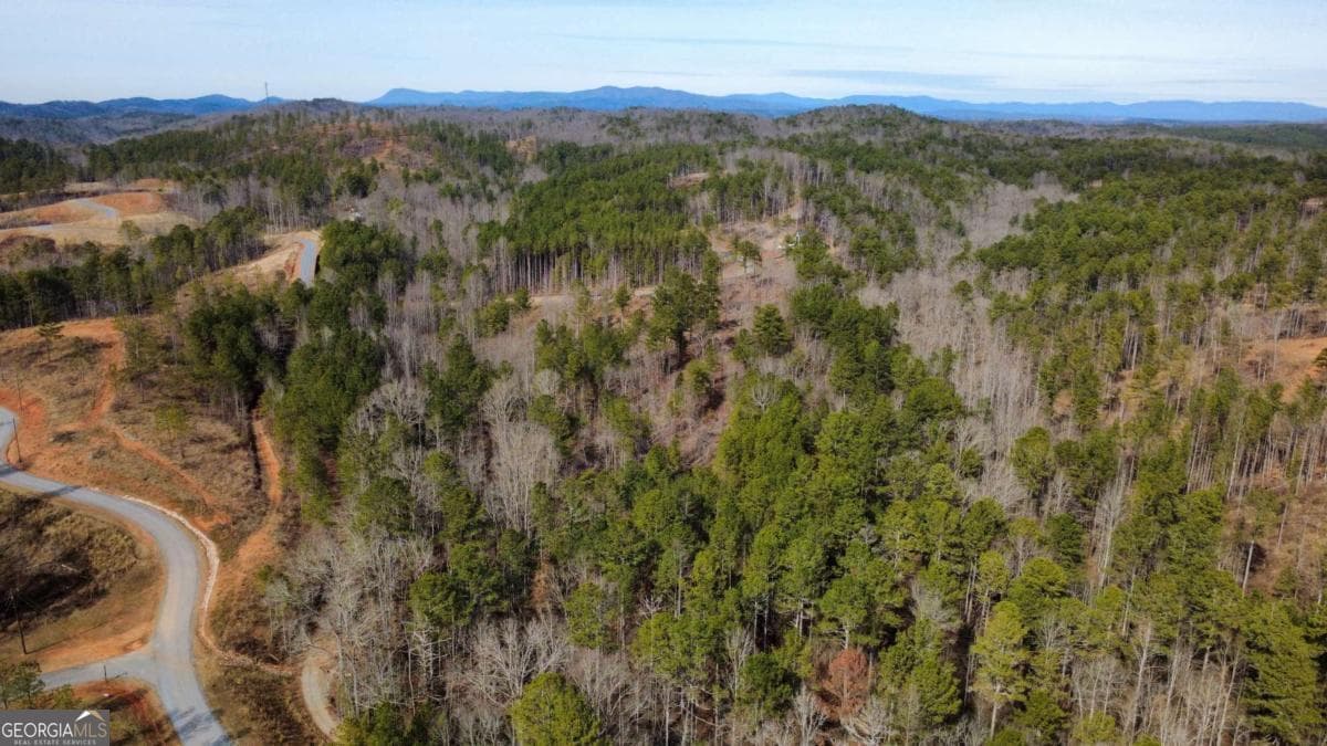 unimproved land for sale at LOT 108 Blalock Mountain Road, Talking Rock, GA 30175 — photo 3