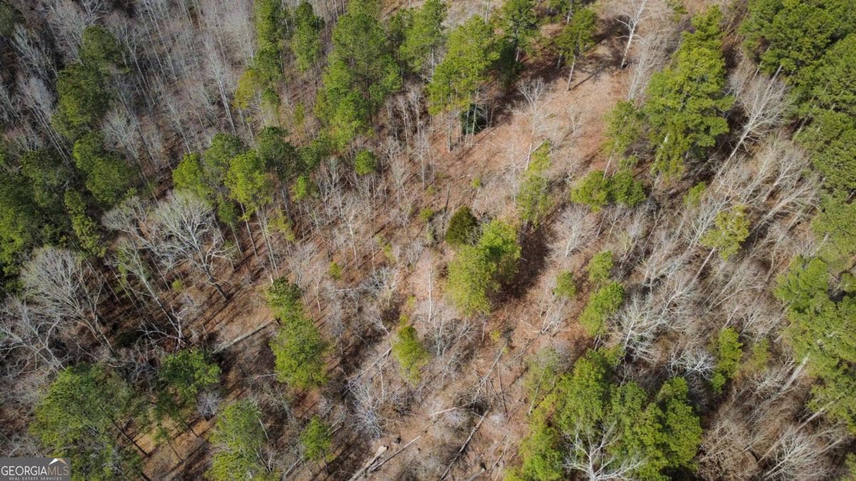 unimproved land for sale at LOT 108 Blalock Mountain Road, Talking Rock, GA 30175 — photo 5