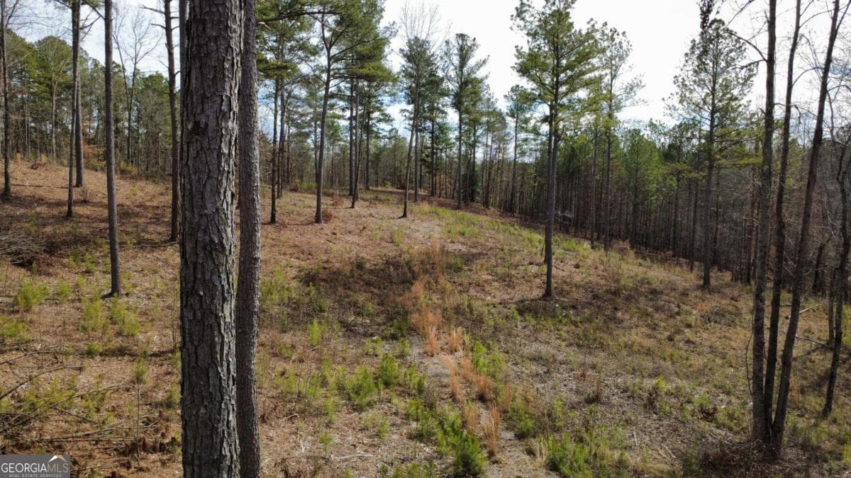unimproved land for sale at LOT 108 Blalock Mountain Road, Talking Rock, GA 30175 — photo 9