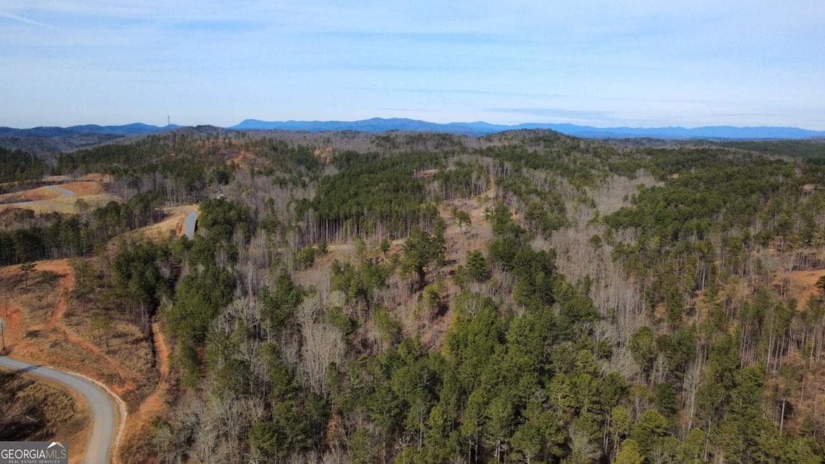 unimproved land for sale at LOT 108 Blalock Mountain Road, Talking Rock, GA 30175 — photo 4