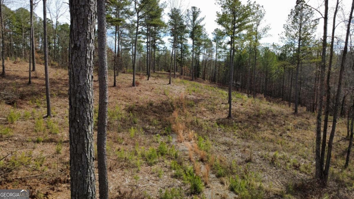unimproved land for sale at LOT 108 Blalock Mountain Road, Talking Rock, GA 30175 — photo 8