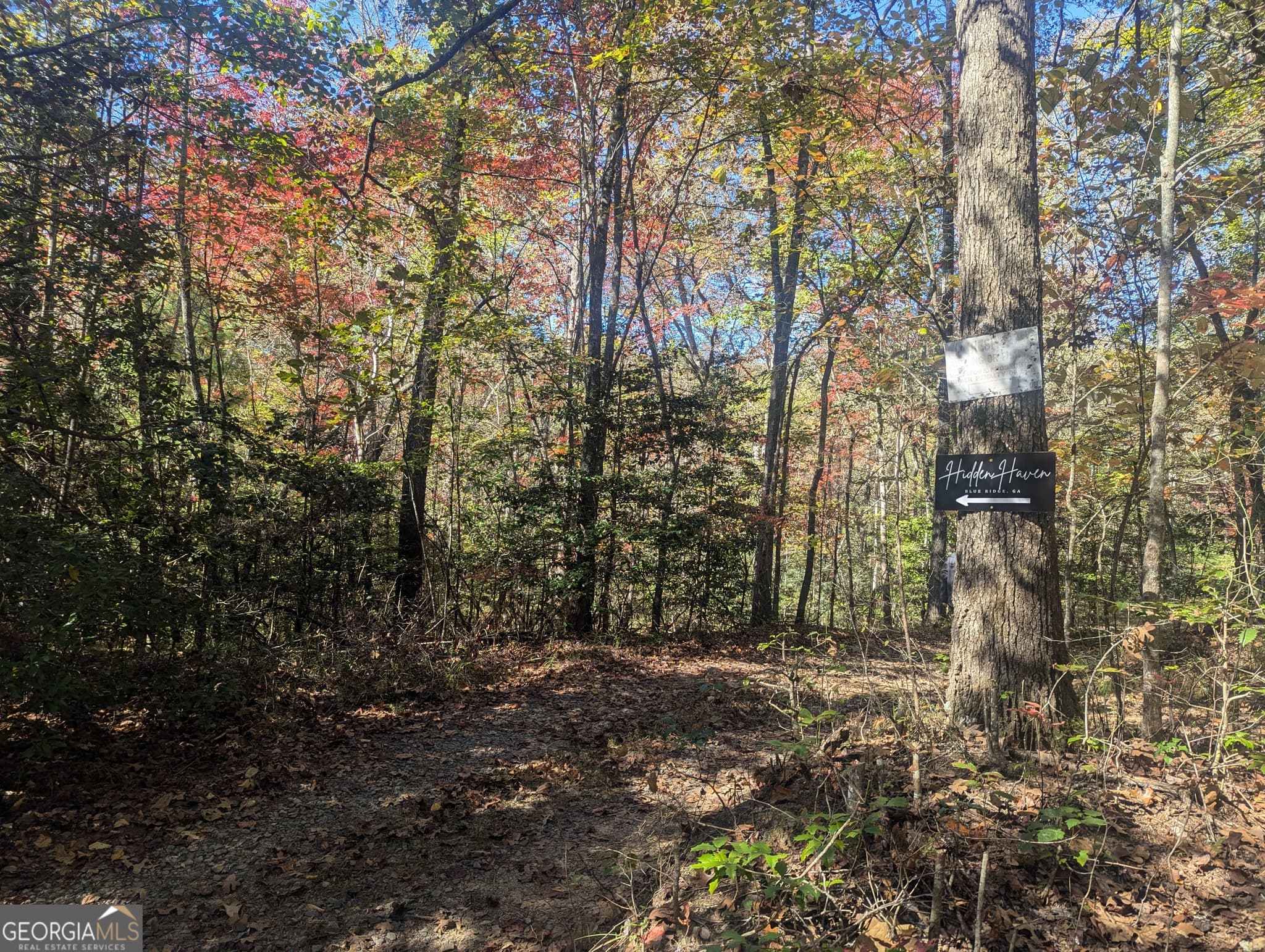 agriculture for sale at 26.89 AC Shadow Lane, Blue Ridge, GA 30513 — photo 2