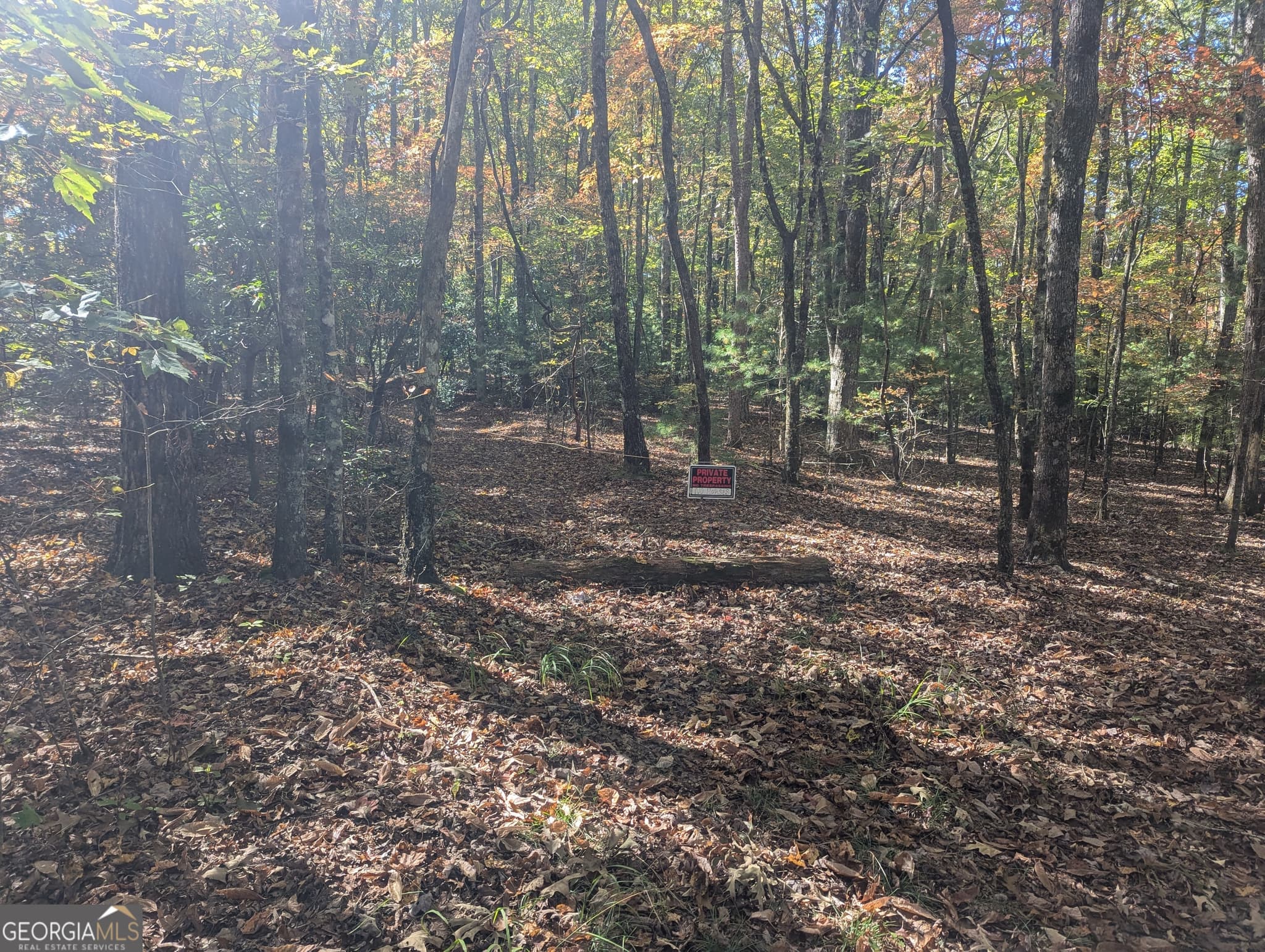agriculture for sale at 26.89 AC Shadow Lane, Blue Ridge, GA 30513 — photo 6