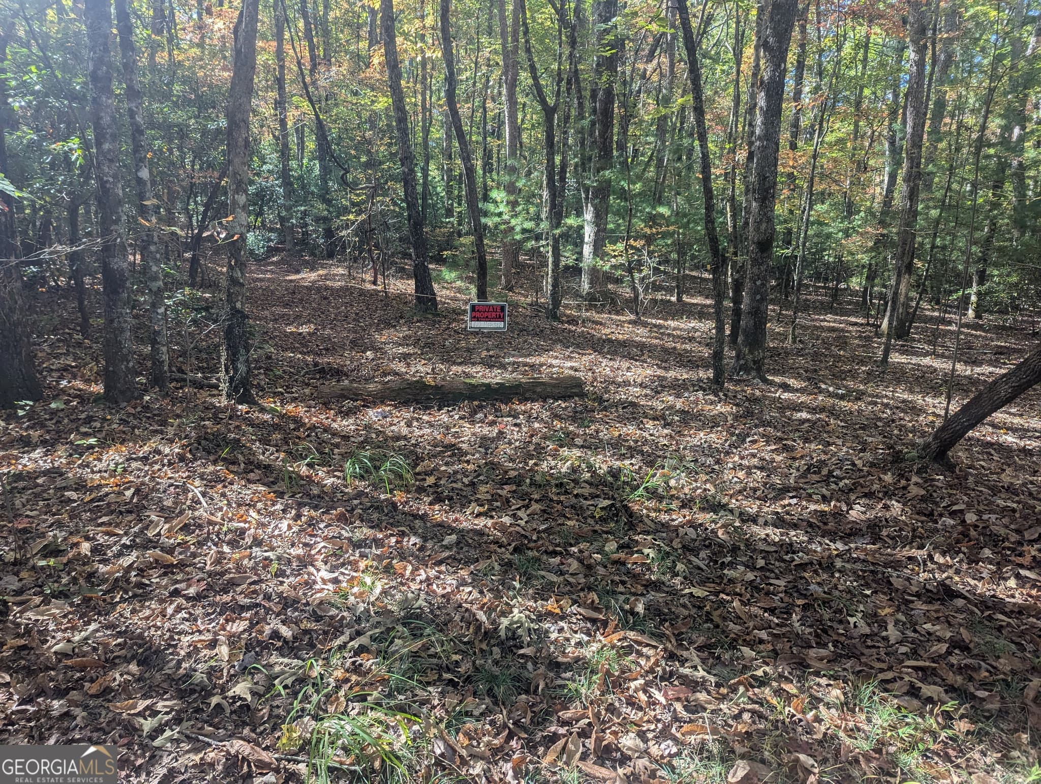 agriculture for sale at 26.89 AC Shadow Lane, Blue Ridge, GA 30513 — photo 7