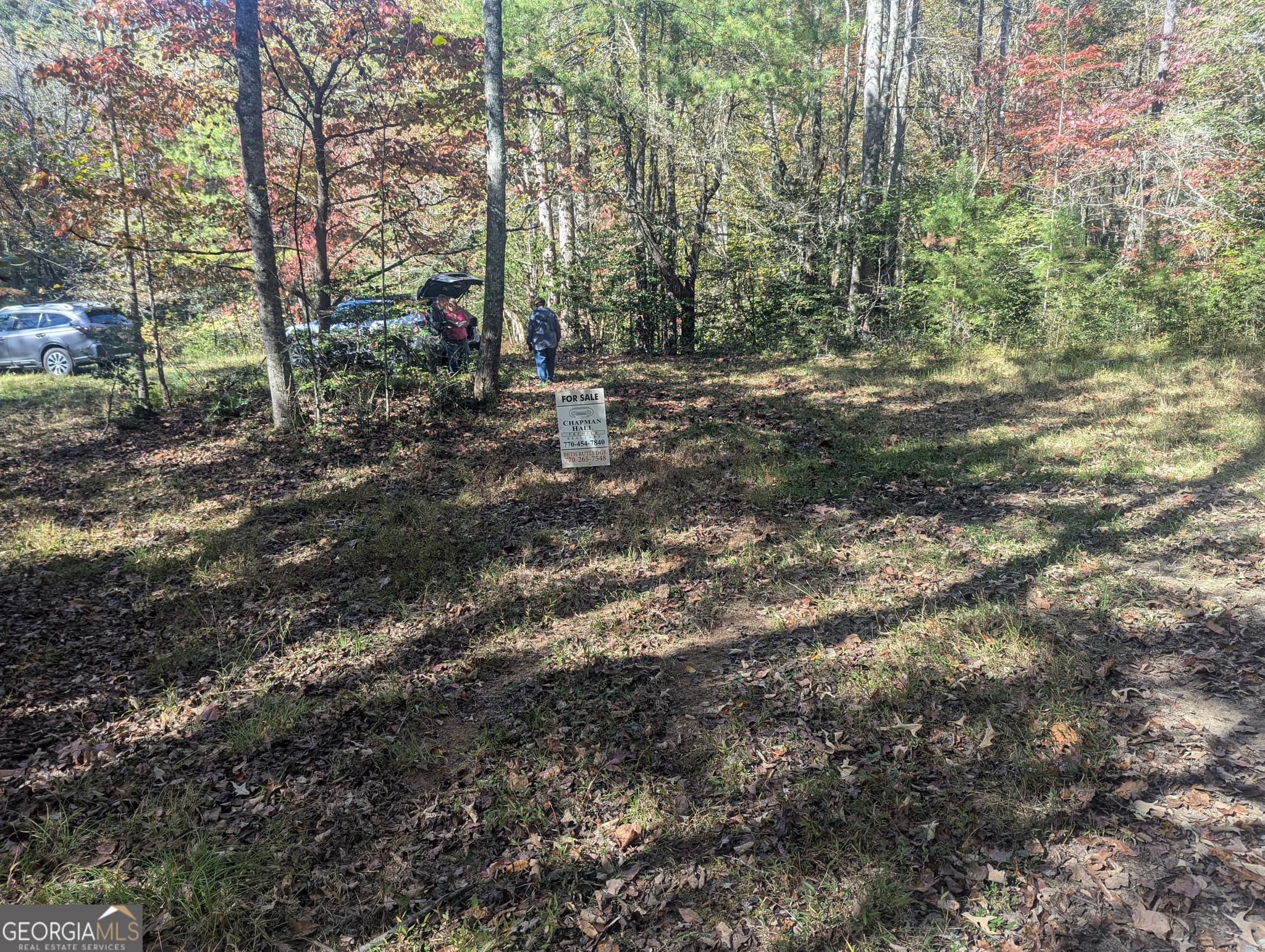 agriculture for sale at 26.89 AC Shadow Lane, Blue Ridge, GA 30513 — photo 3