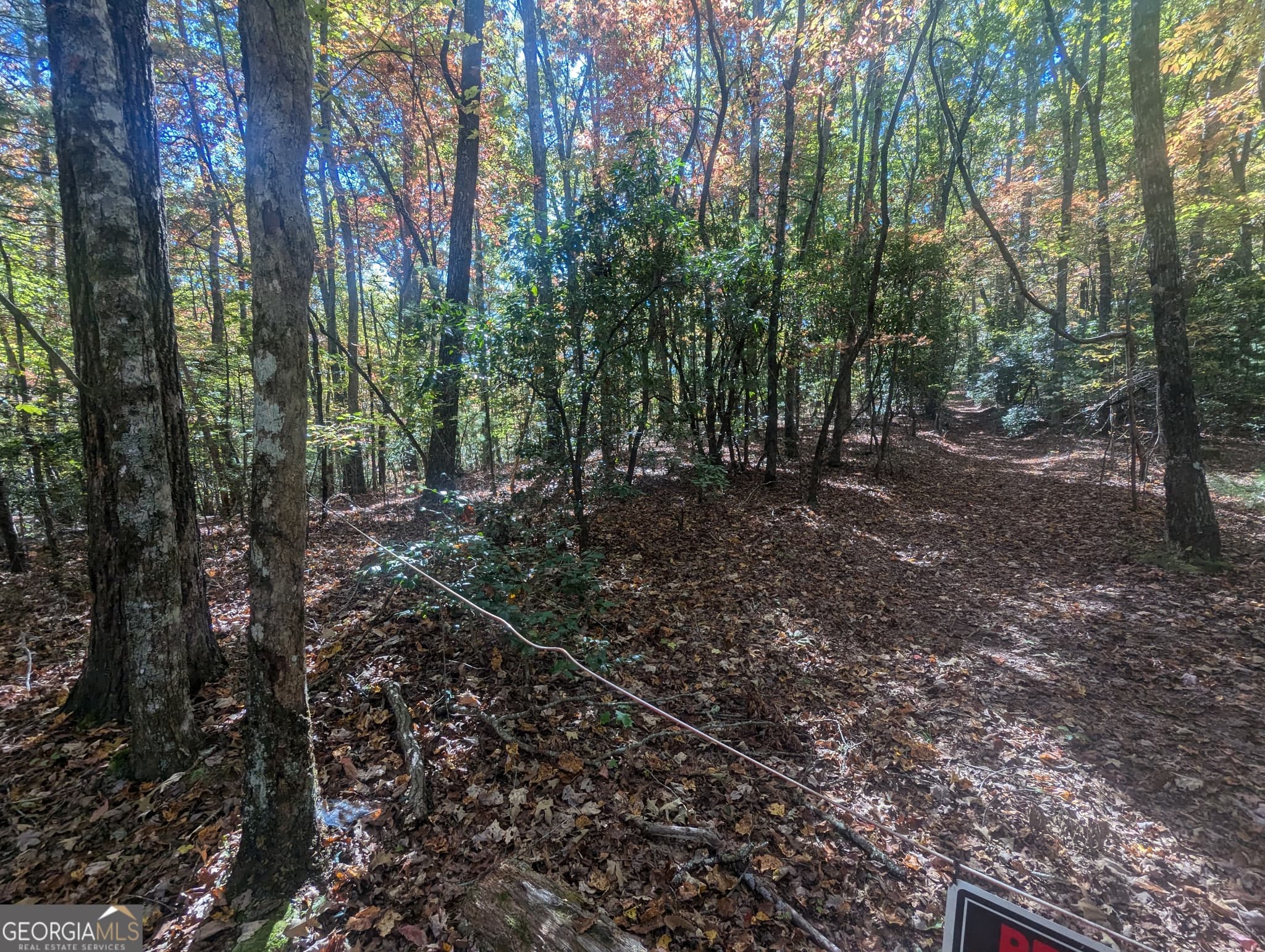 agriculture for sale at 26.89 AC Shadow Lane, Blue Ridge, GA 30513 — photo 9