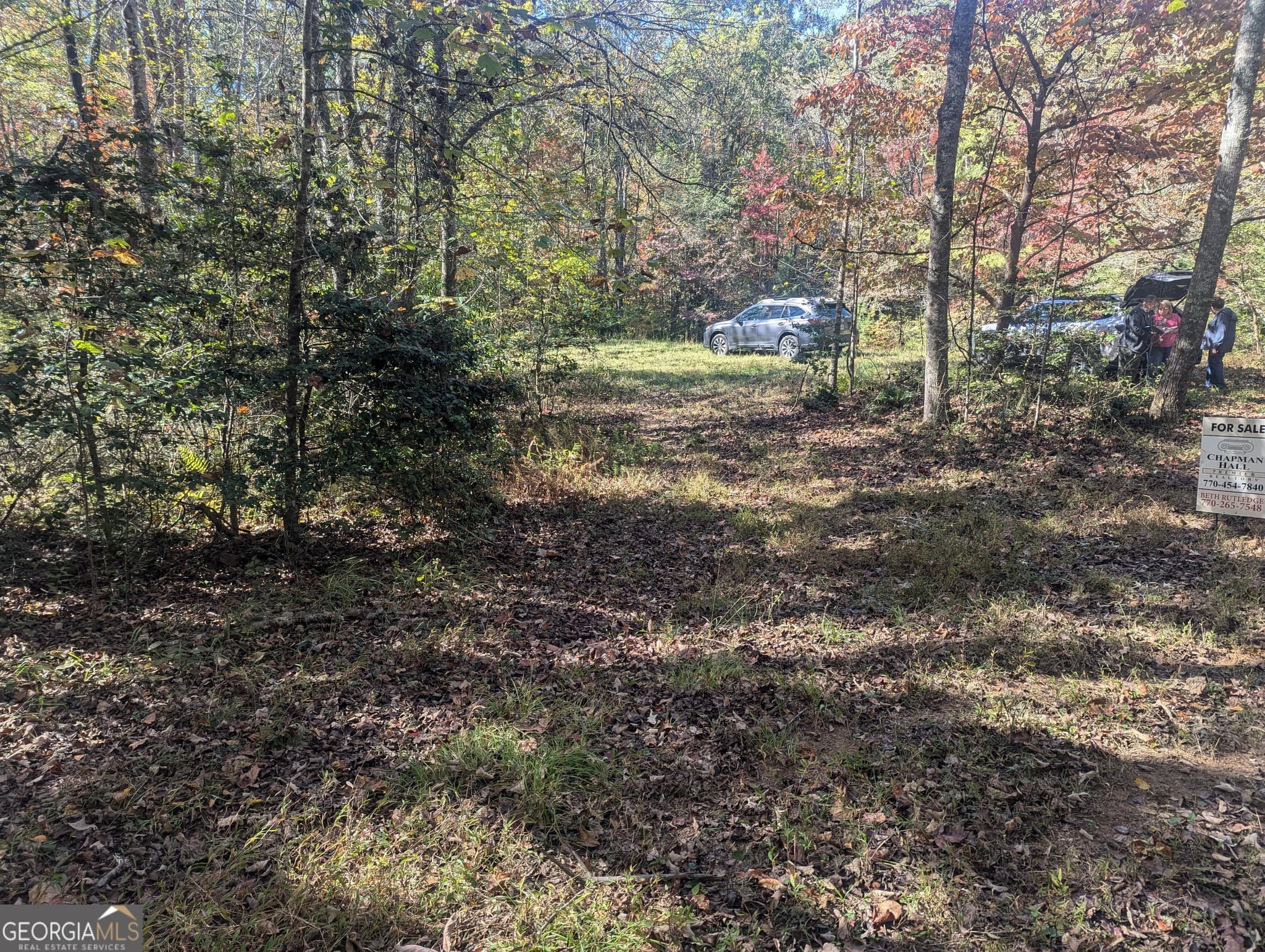 agriculture for sale at 26.89 AC Shadow Lane, Blue Ridge, GA 30513 — photo 4