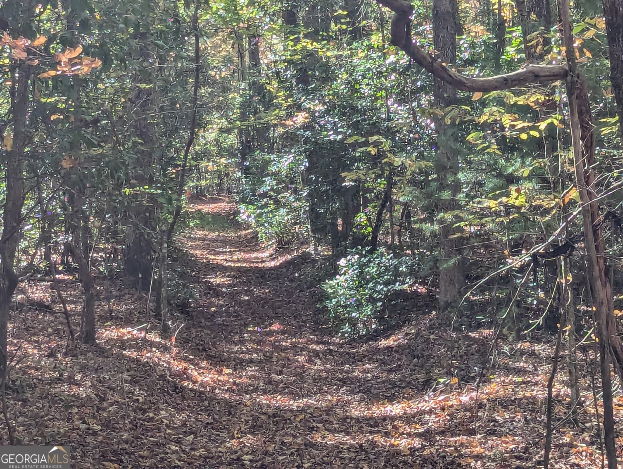agriculture for sale at 26.89 AC Shadow Lane, Blue Ridge, GA 30513 — photo 8