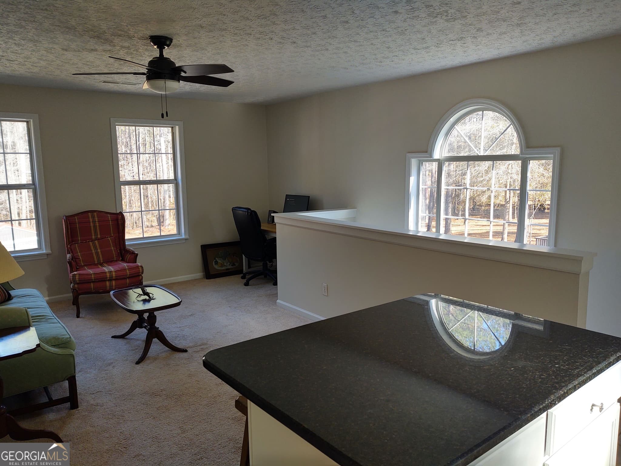 1 bedroom, 1 bathroom, 950 sq ft apartment for rent at 1467 Elders Mill Road, Senoia, GA 30276 for $1,350 a month — photo 6