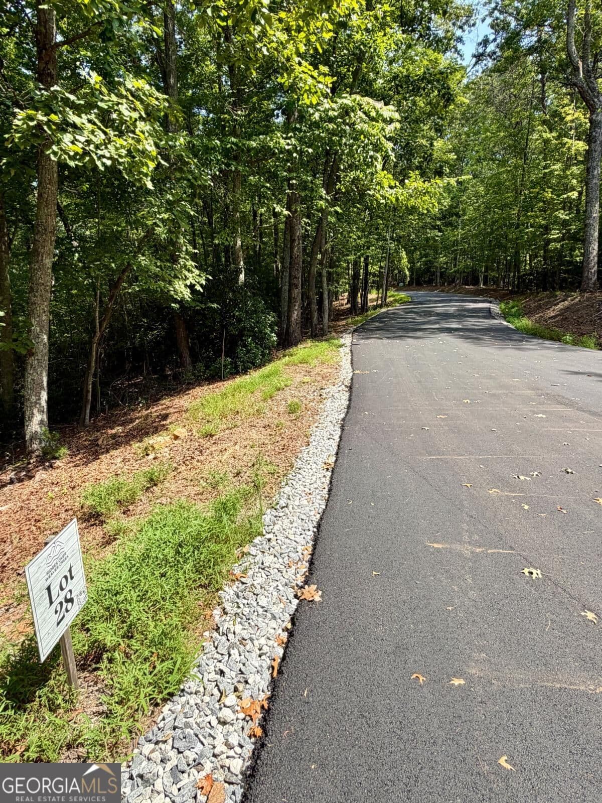 residential lot for sale at LOT 28 Prospect Ridge, Blue Ridge, GA 30513 — photo 3