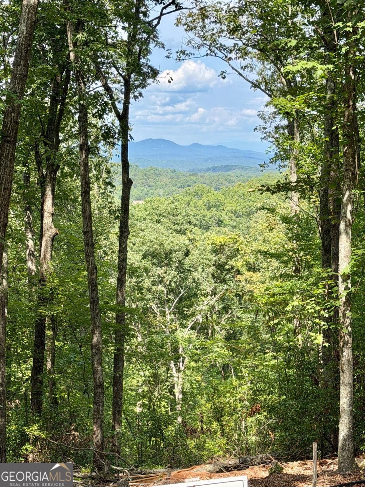 residential lot for sale at LOT 28 Prospect Ridge, Blue Ridge, GA 30513 — photo 1 of 24