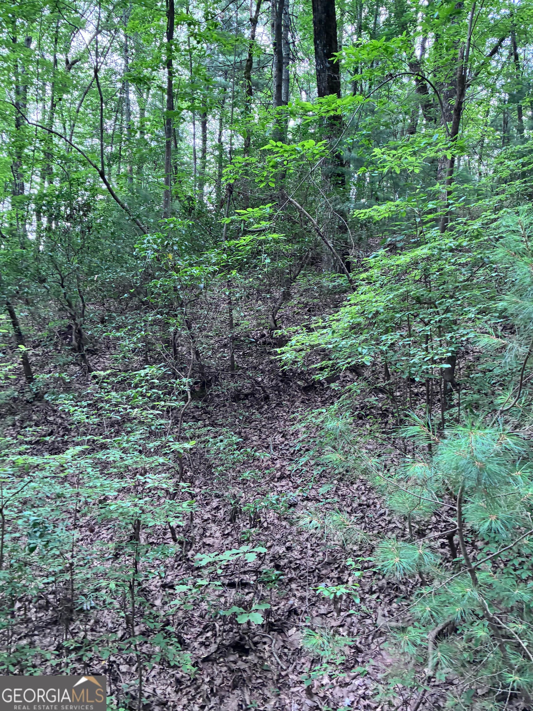 unimproved land for sale at 829 Morton Drive, Ellijay, GA 30540 — photo 7