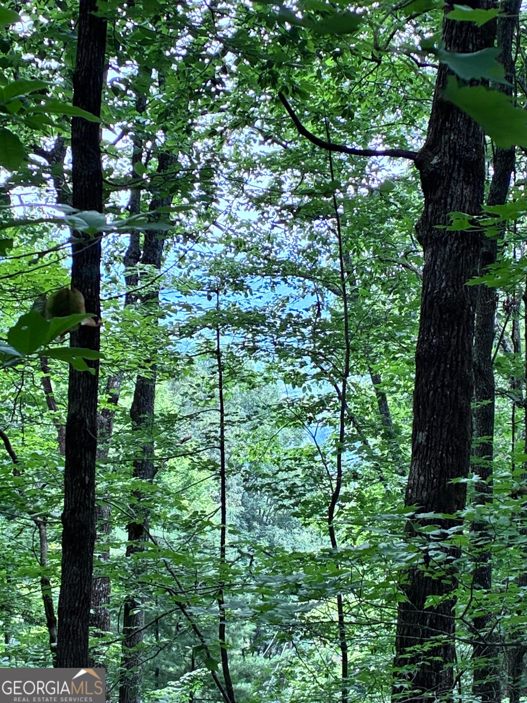 unimproved land for sale at 829 Morton Drive, Ellijay, GA 30540 — photo 1 of 14