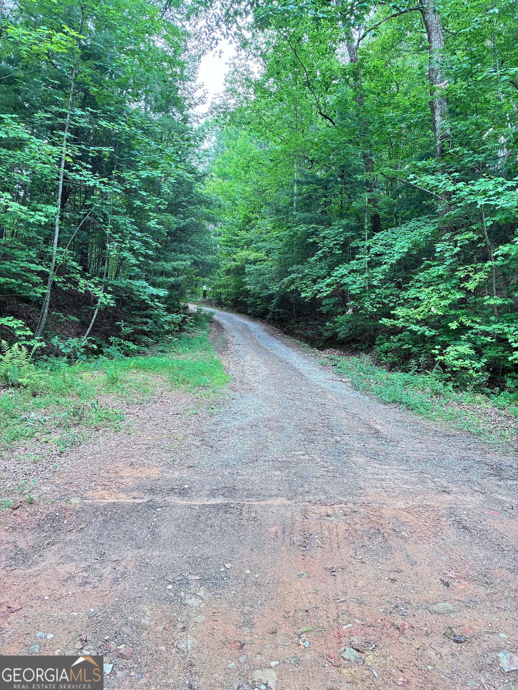 unimproved land for sale at 829 Morton Drive, Ellijay, GA 30540 — photo 4