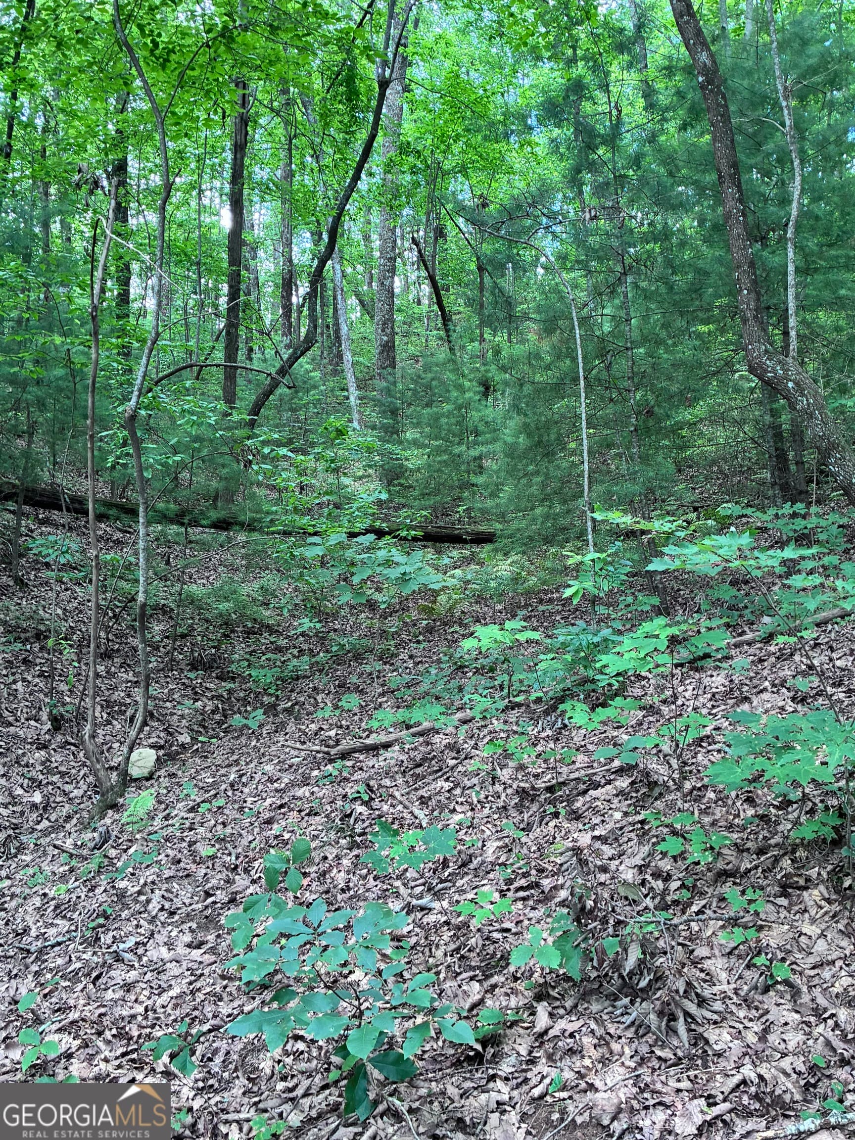 unimproved land for sale at 829 Morton Drive, Ellijay, GA 30540 — photo 8