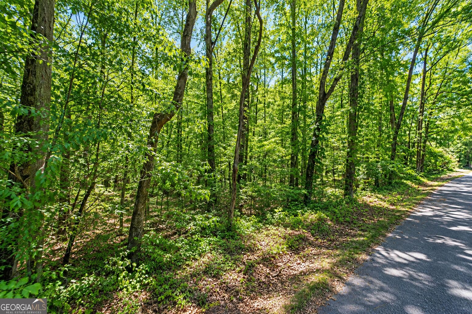 residential lot for sale at 7 ACRES Bronco Road, Lafayette, GA 30728 — photo 9