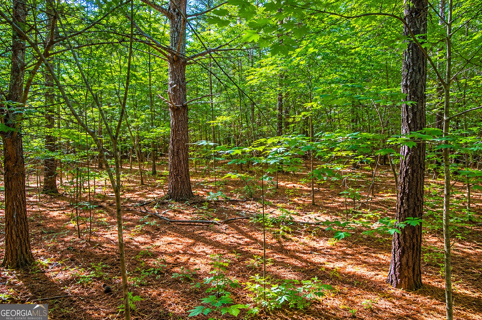 residential lot for sale at 7 ACRES Bronco Road, Lafayette, GA 30728 — photo 8