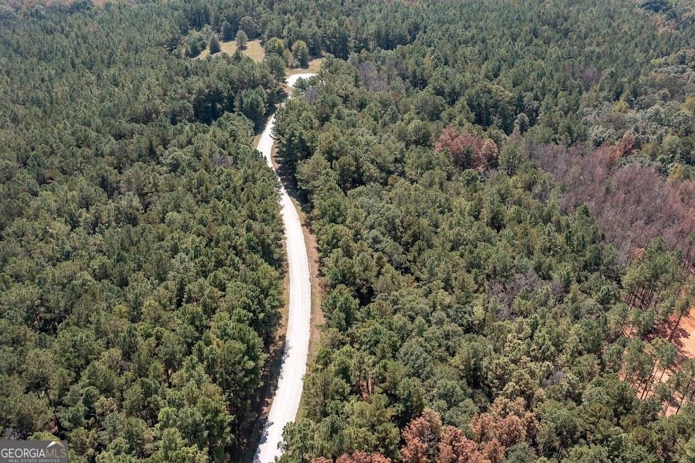 agriculture for sale at 128 River Cove (TRACT 17), Carrollton, GA 30117 — photo 3