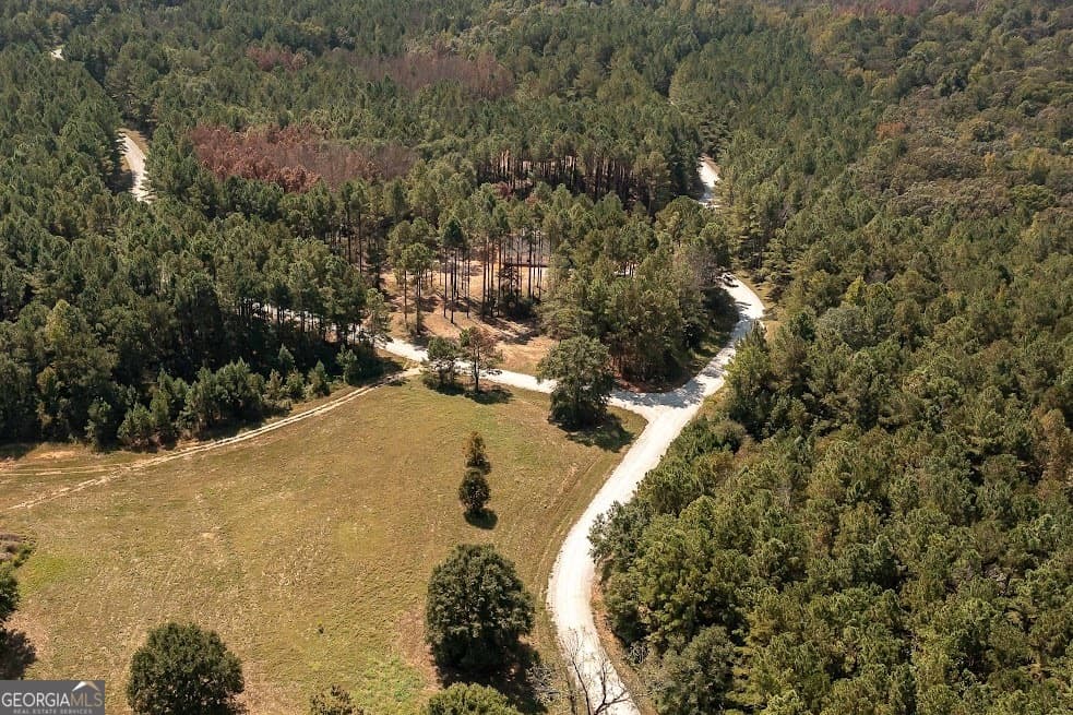 agriculture for sale at 128 River Cove (TRACT 17), Carrollton, GA 30117 — photo 5
