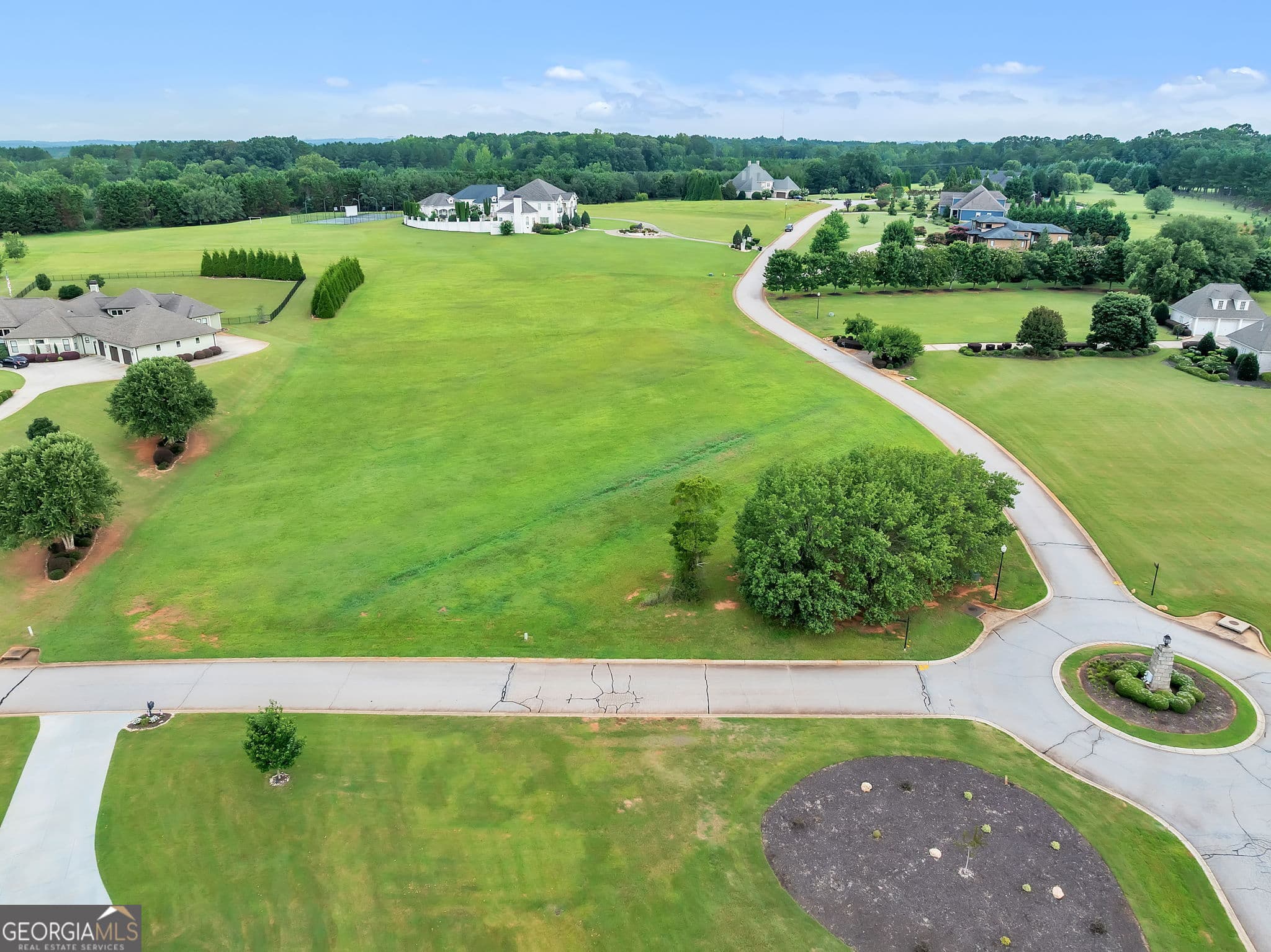 agriculture for sale at LOT 51 Chestnut Springs Way, Williamston, SC 29697 — photo 2